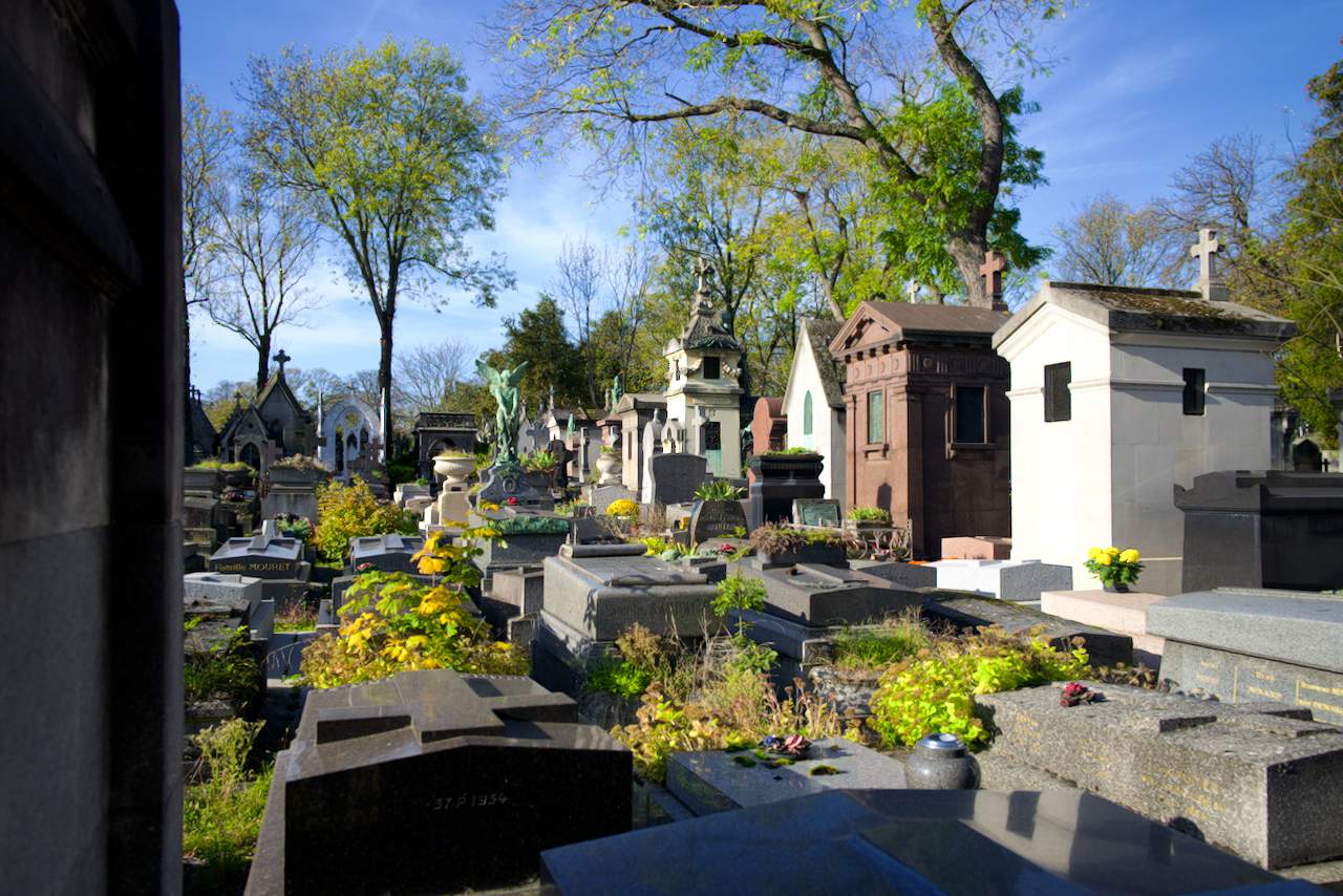 Bild ohne Beschreibung