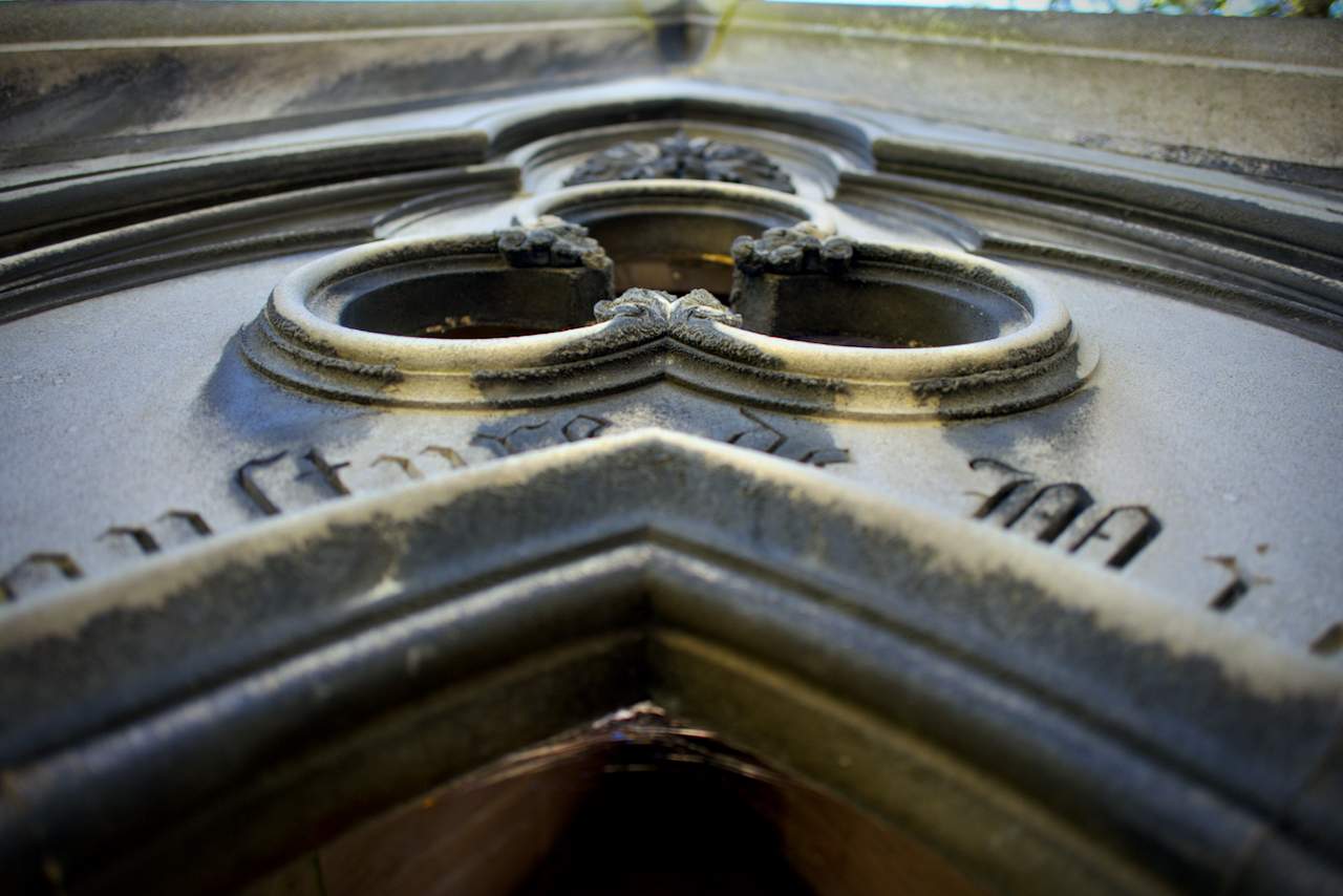 Bild ohne Beschreibung