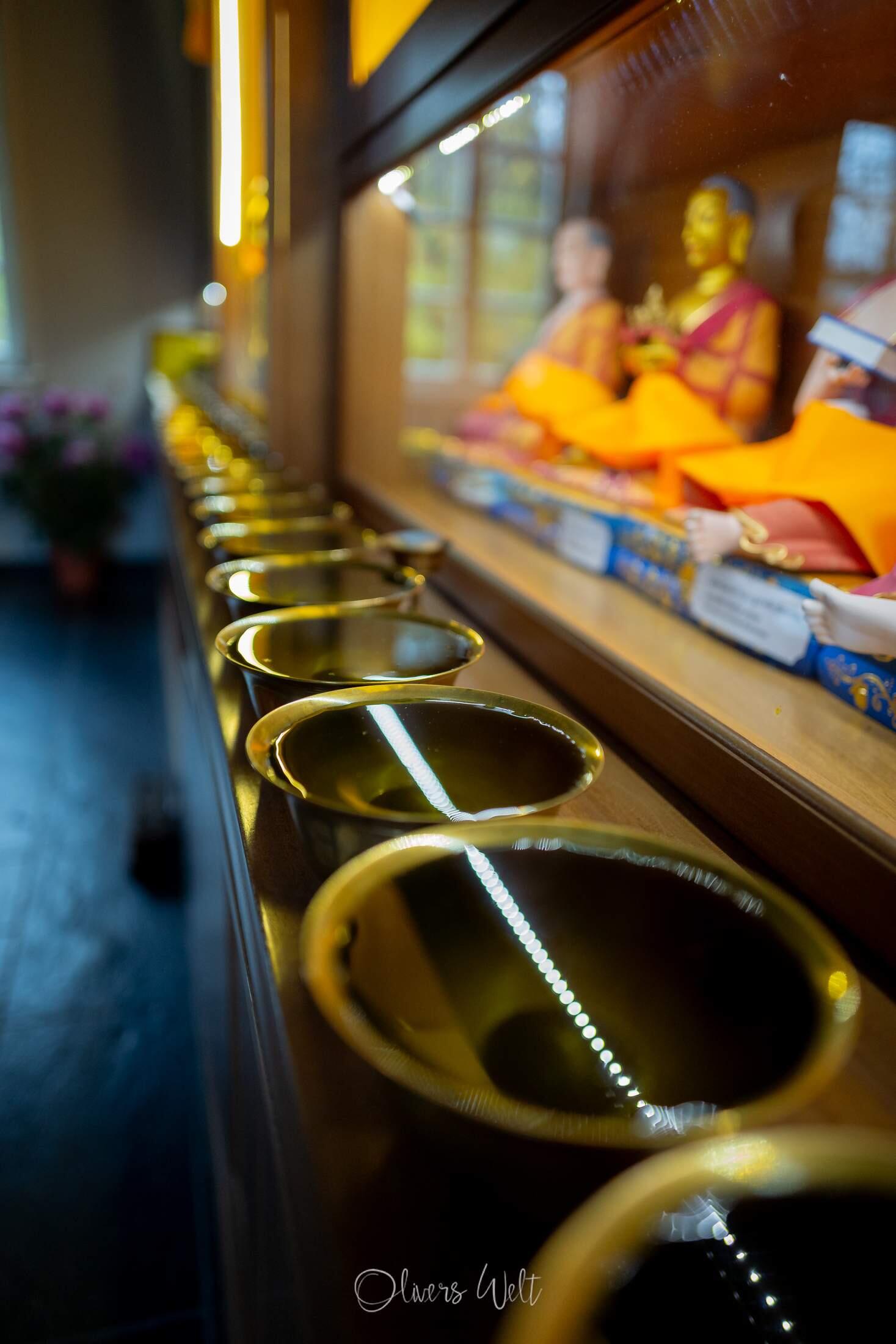 Bild ohne Beschreibung Bild ohne Beschreibung