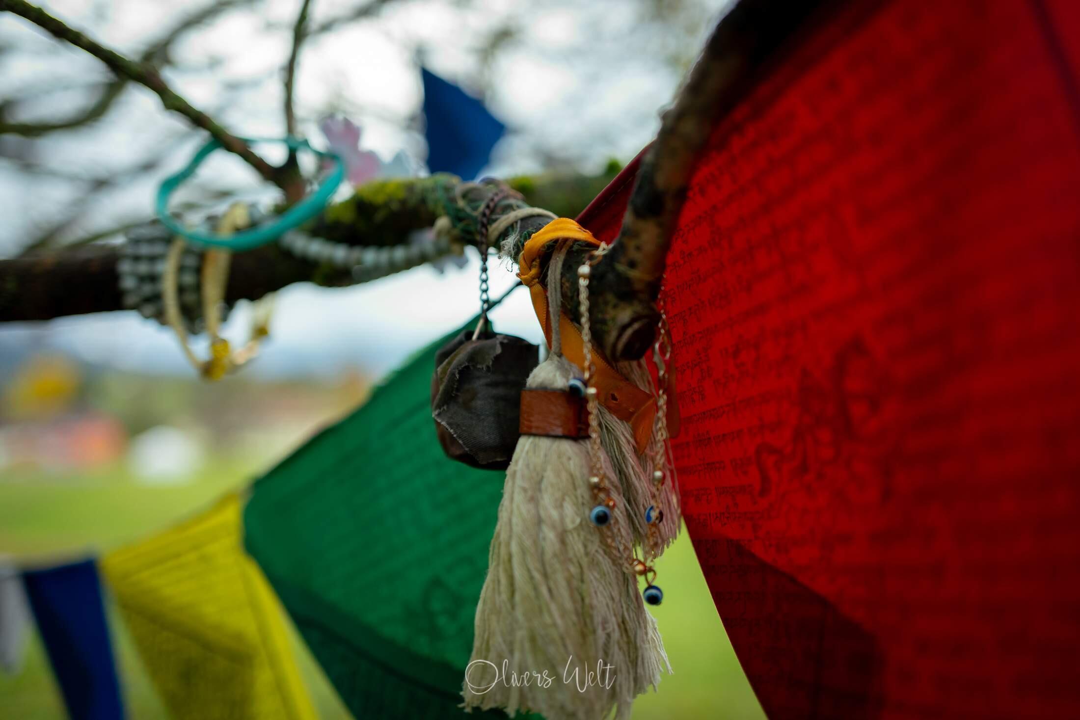 Bild ohne Beschreibung Bild ohne Beschreibung