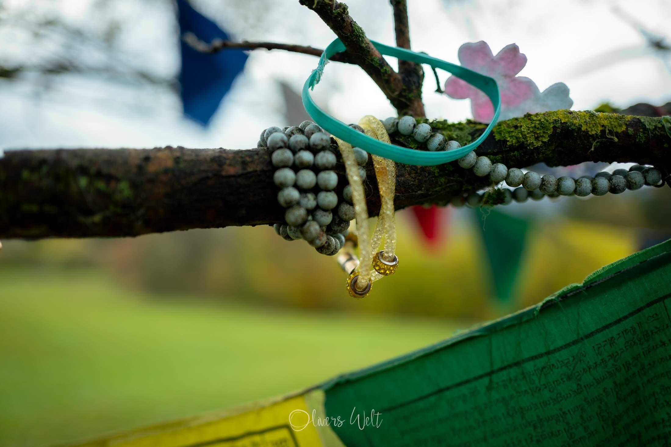 Bild ohne Beschreibung Bild ohne Beschreibung