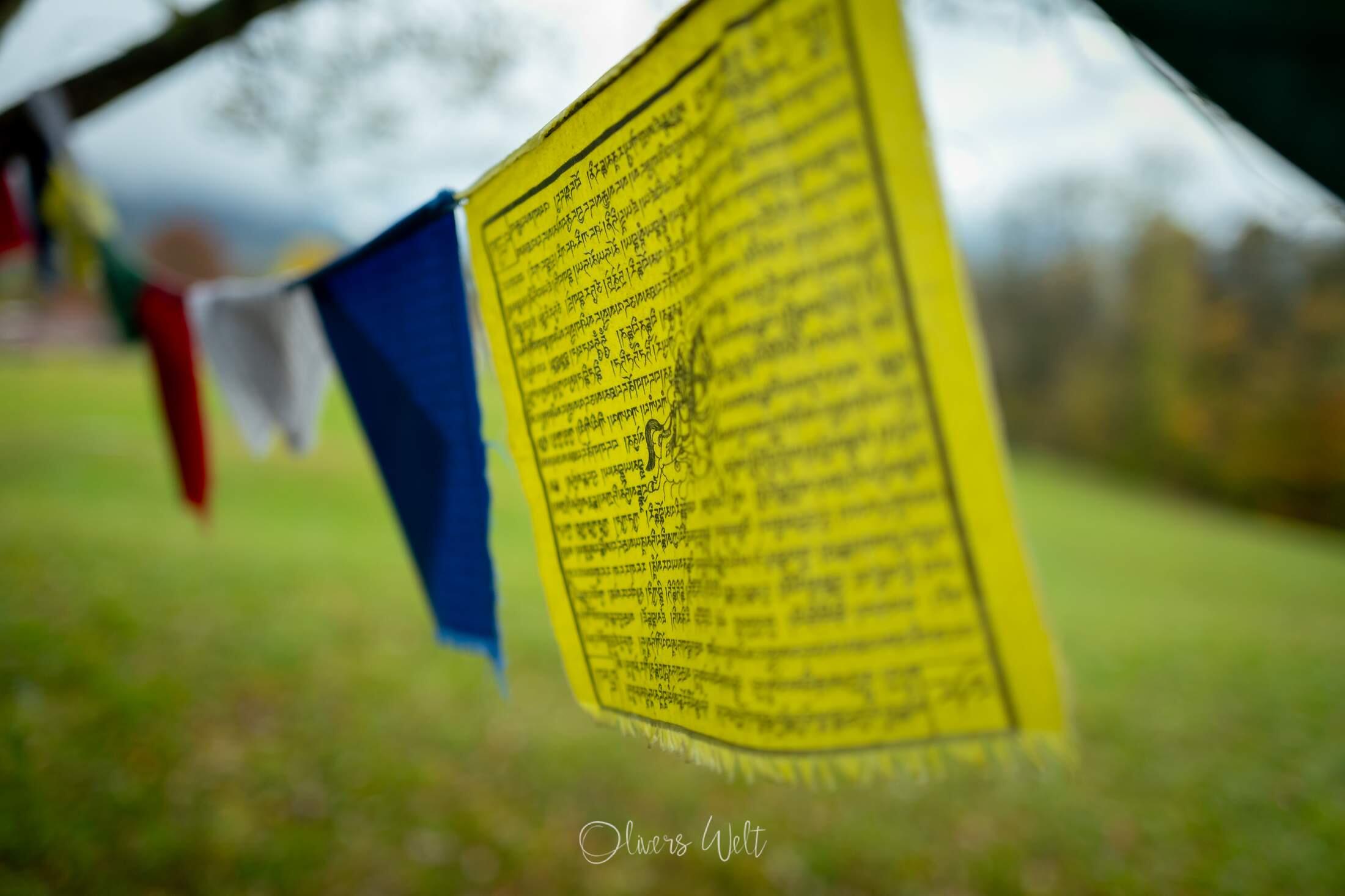 Bild ohne Beschreibung Bild ohne Beschreibung