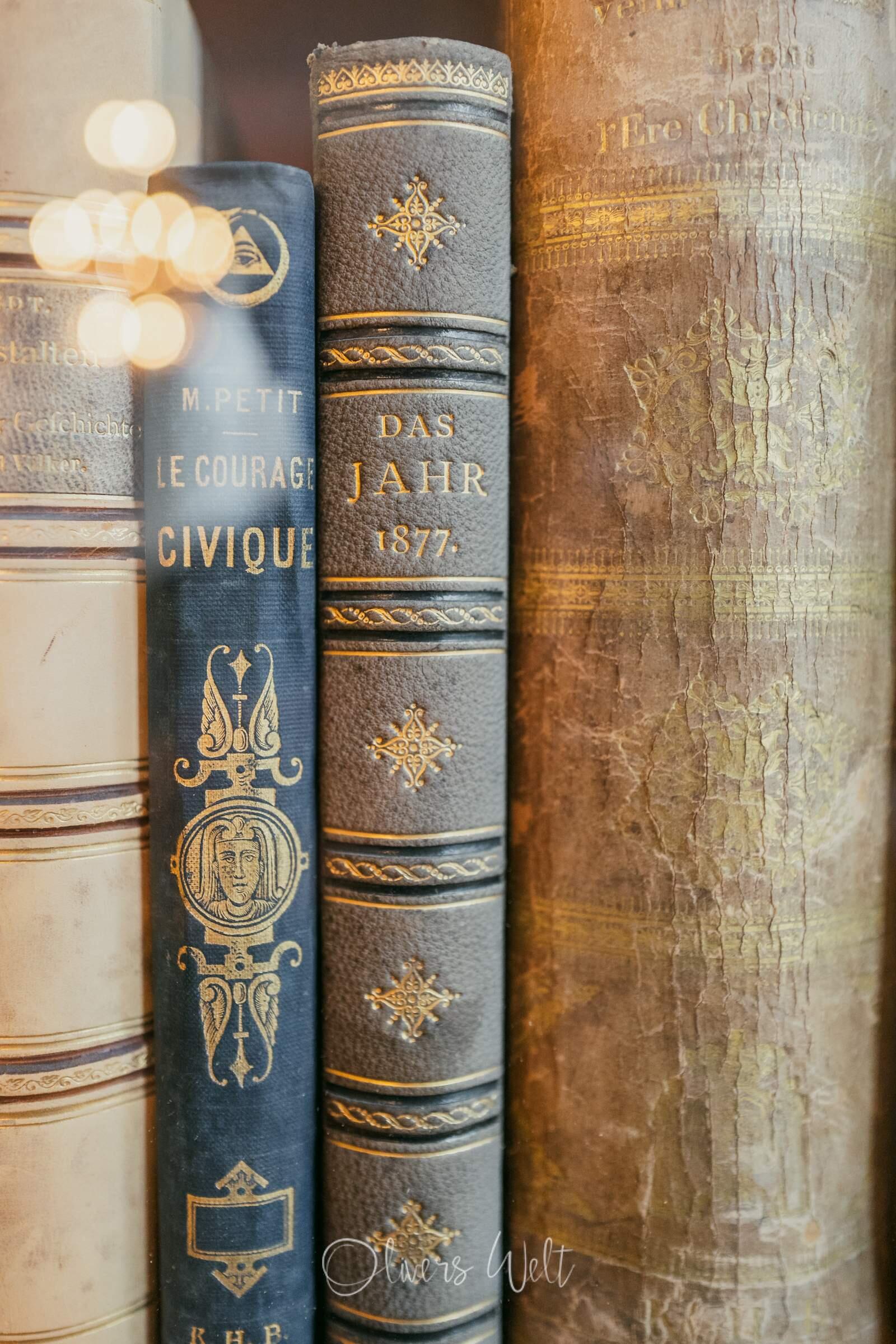 Bild ohne Beschreibung Bild ohne Beschreibung