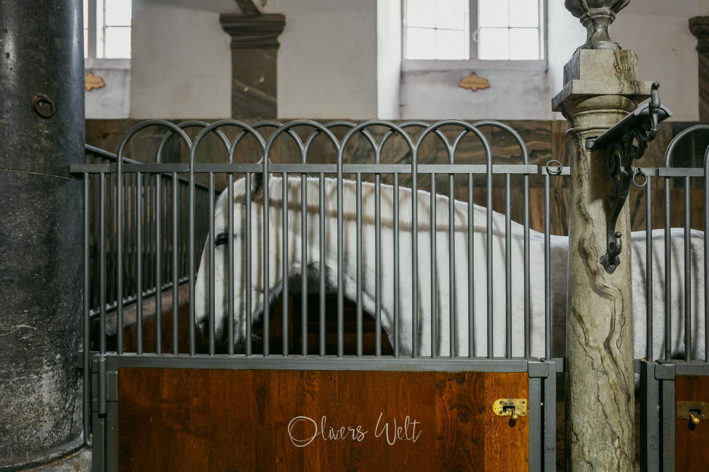 Bild ohne Beschreibung Bild ohne Beschreibung