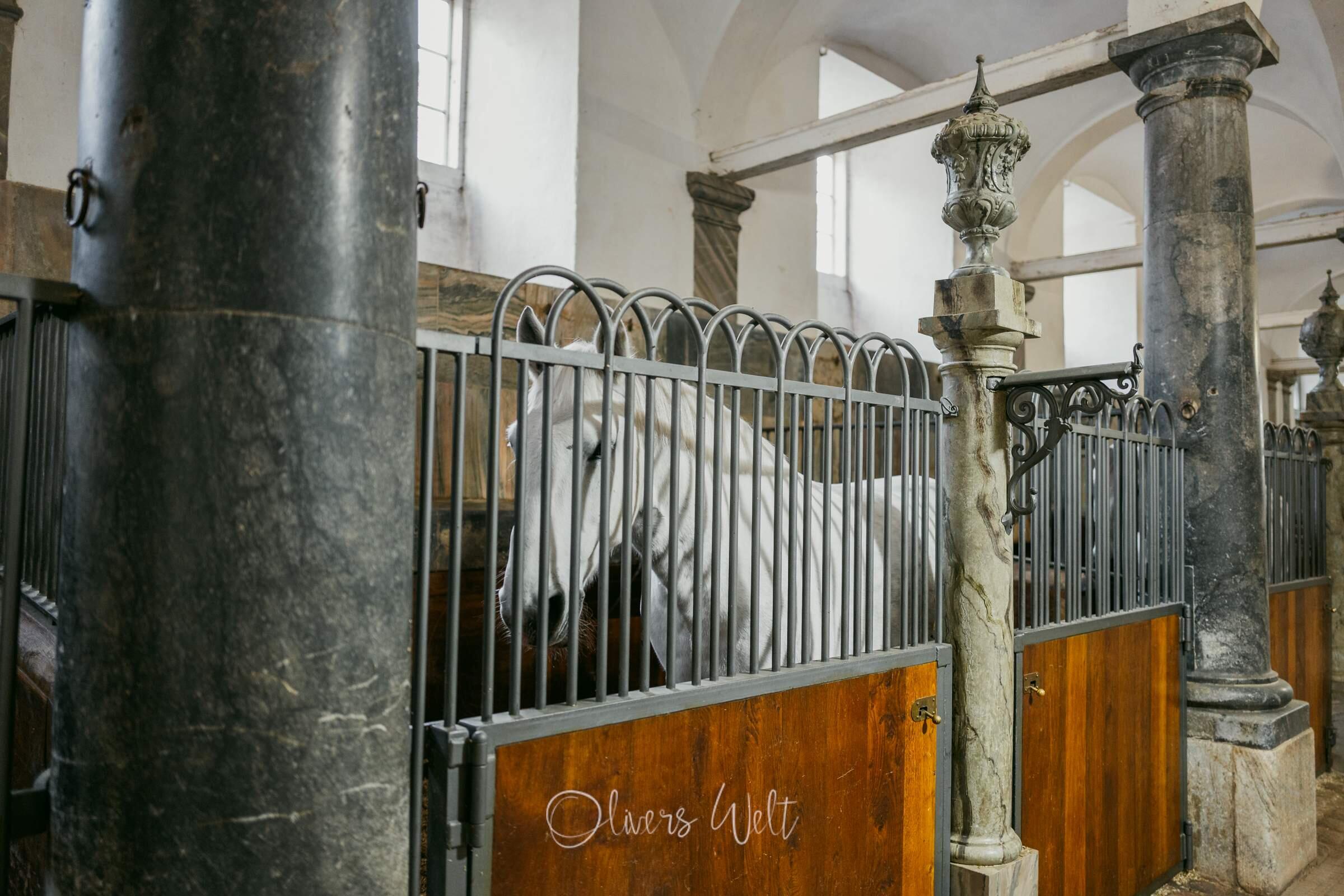 Bild ohne Beschreibung Bild ohne Beschreibung