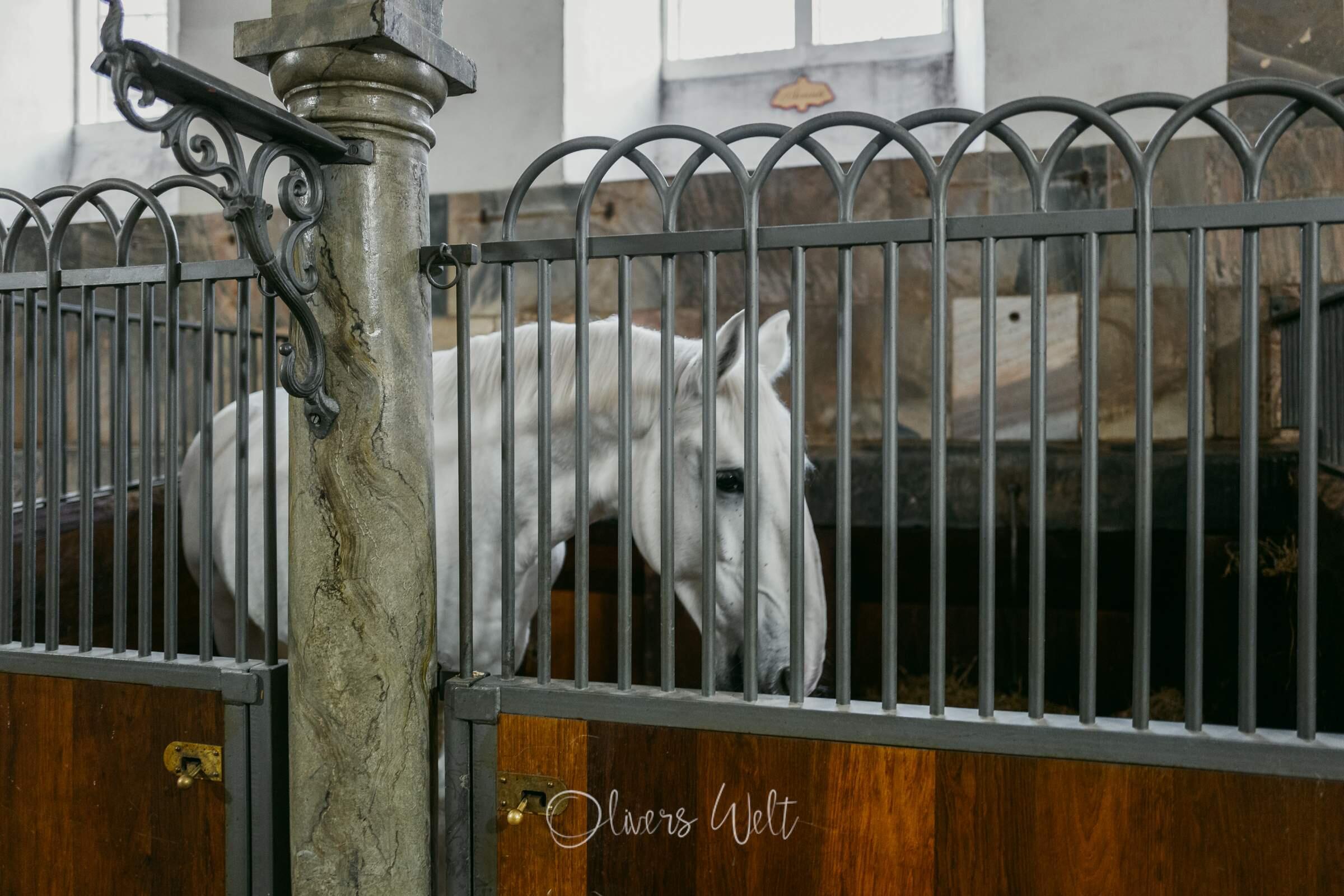 Bild ohne Beschreibung Bild ohne Beschreibung