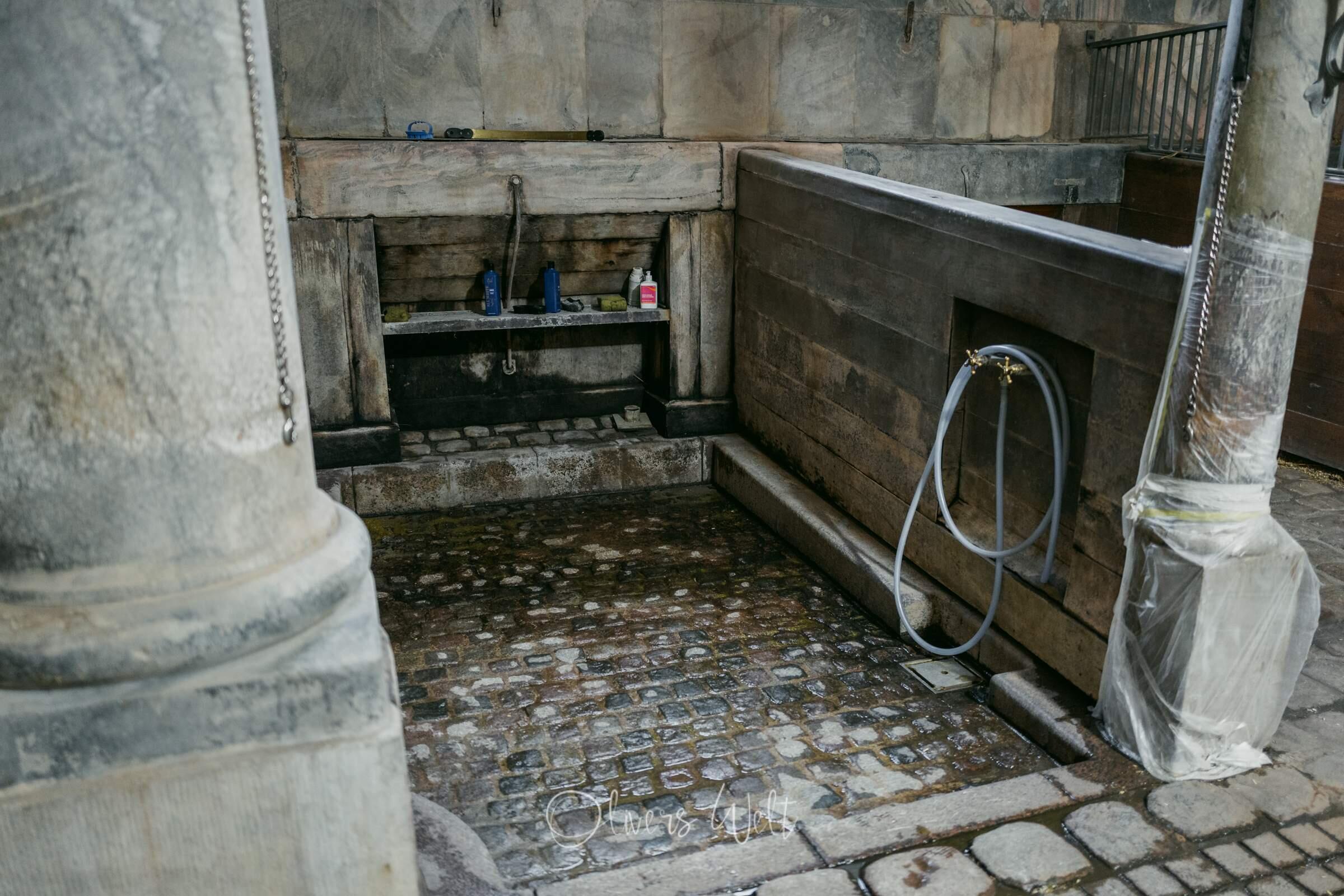 Bild ohne Beschreibung Bild ohne Beschreibung