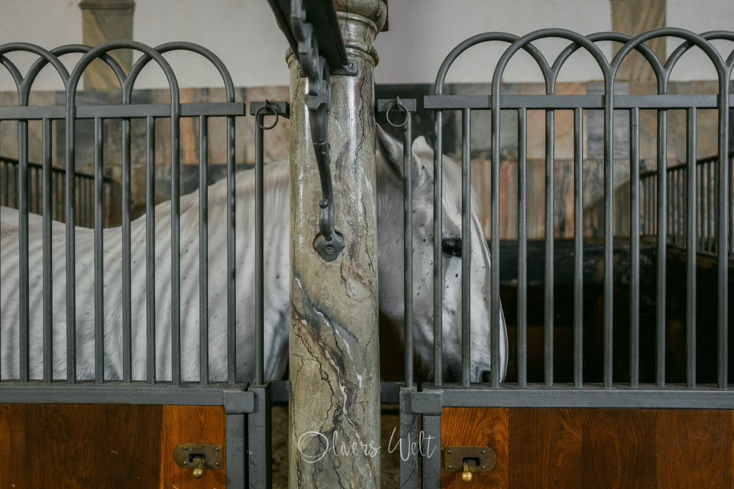 Bild ohne Beschreibung Bild ohne Beschreibung