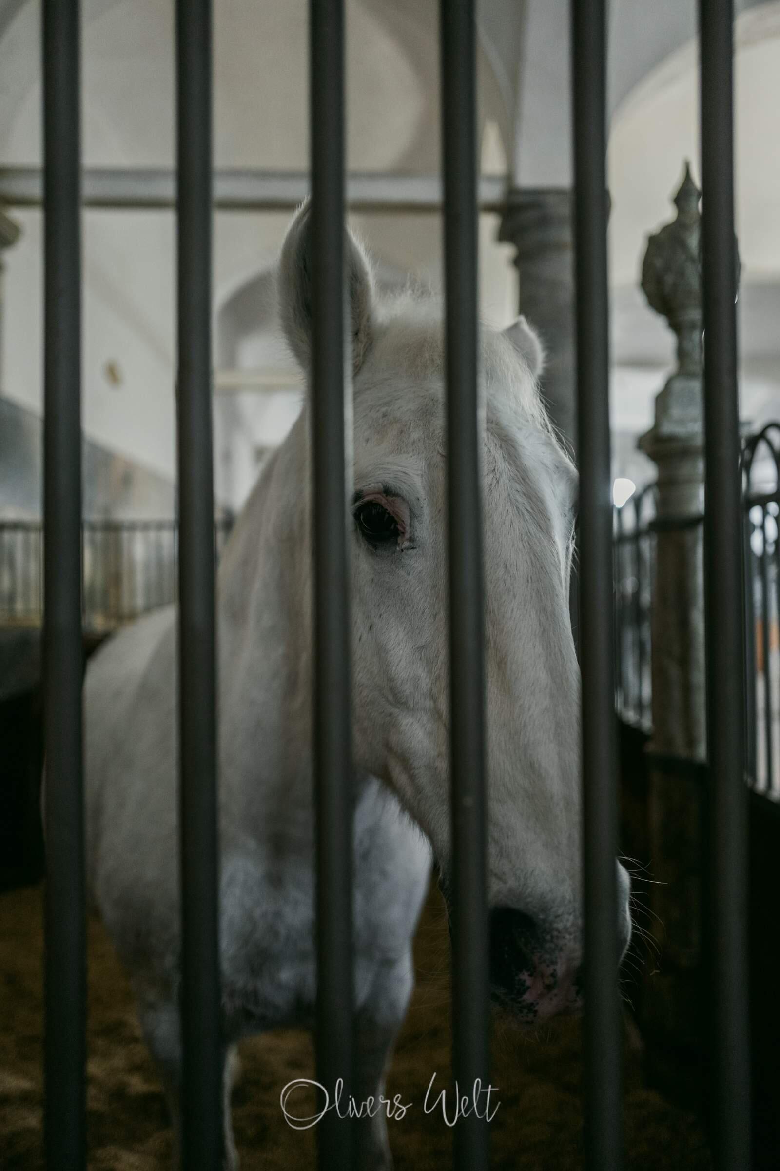 Bild ohne Beschreibung Bild ohne Beschreibung