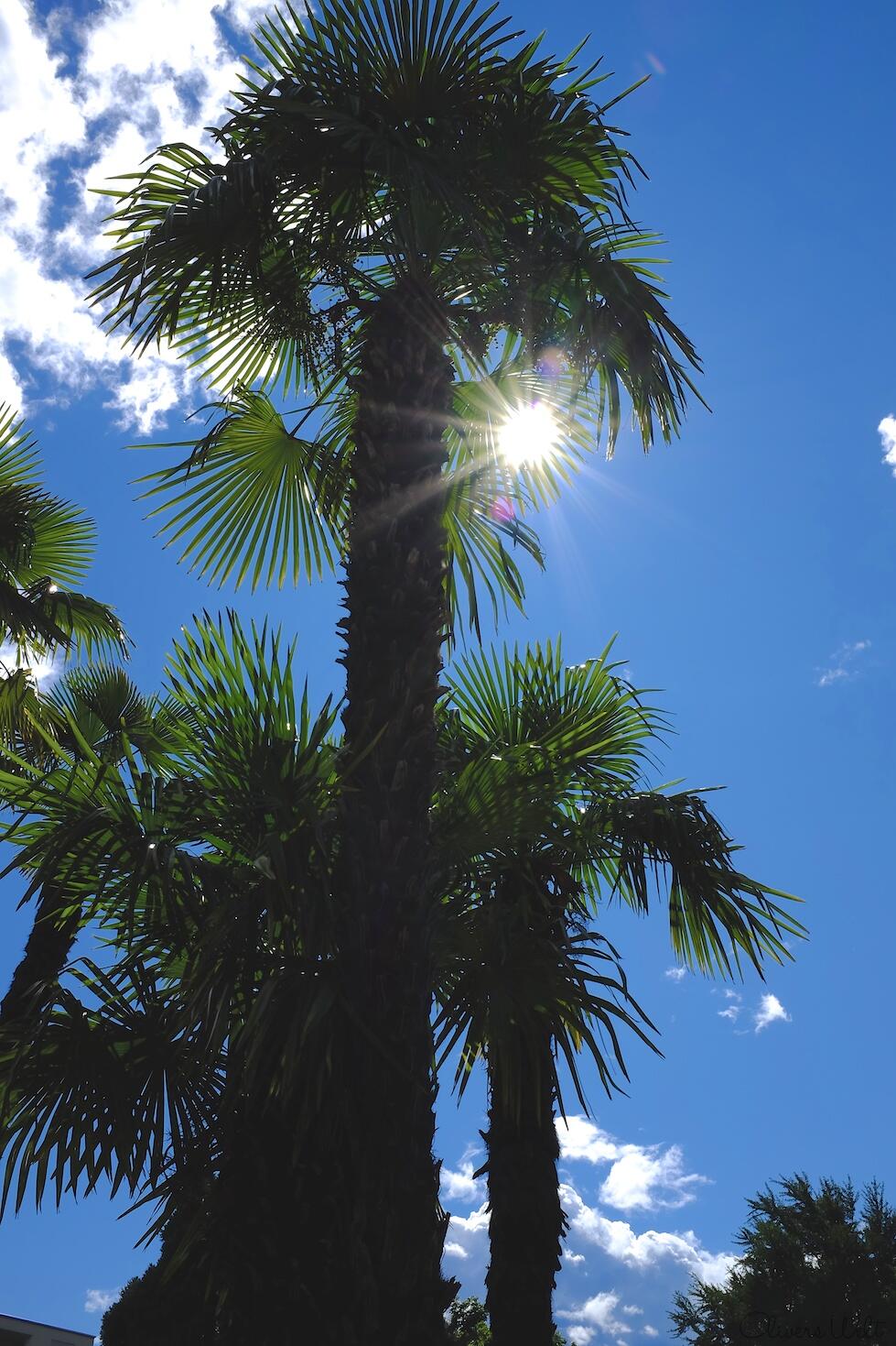 Bild ohne Beschreibung Bild ohne Beschreibung