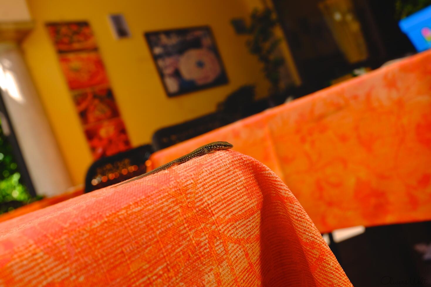 Bild ohne Beschreibung Bild ohne Beschreibung