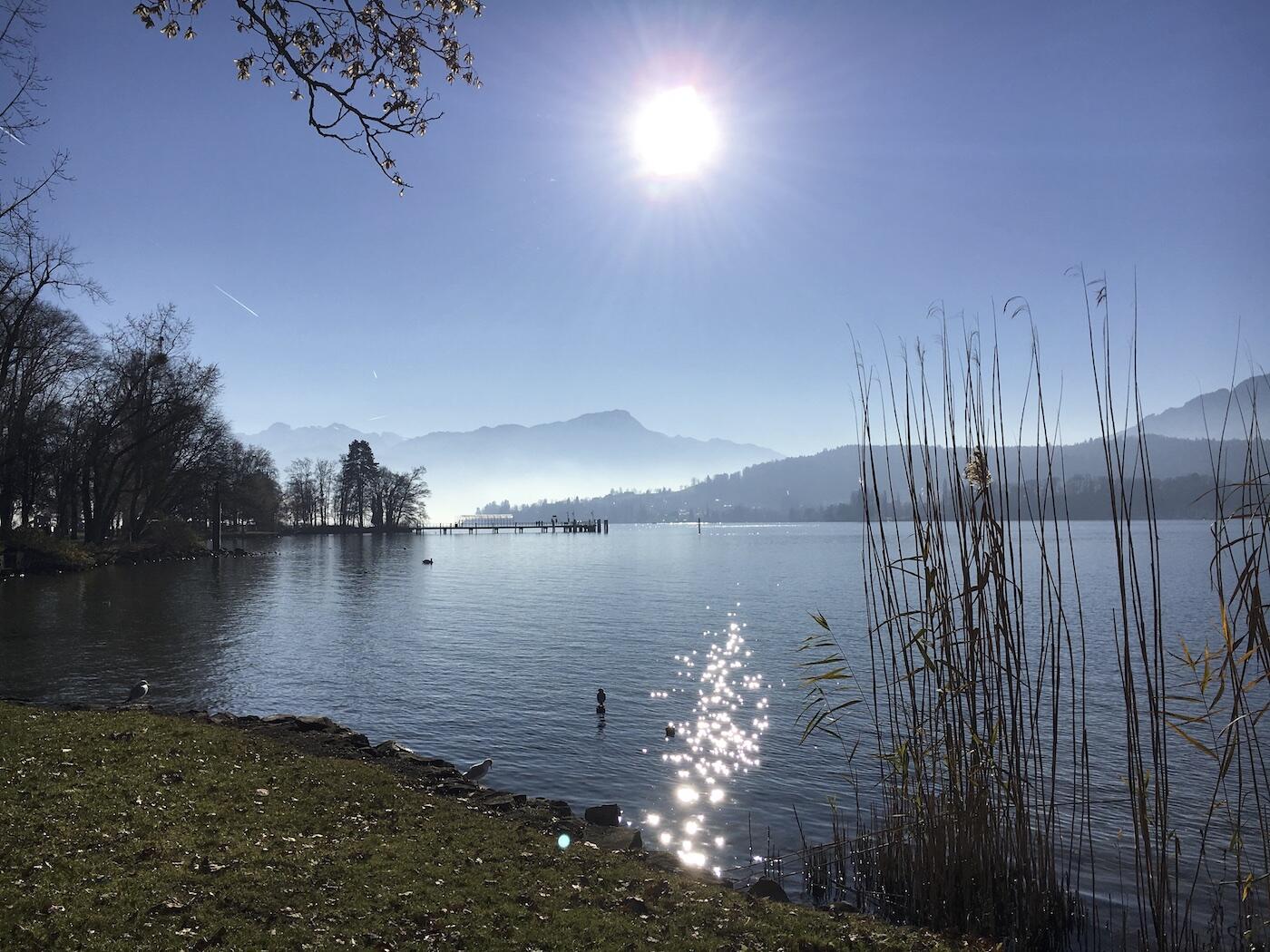 Bild ohne Beschreibung