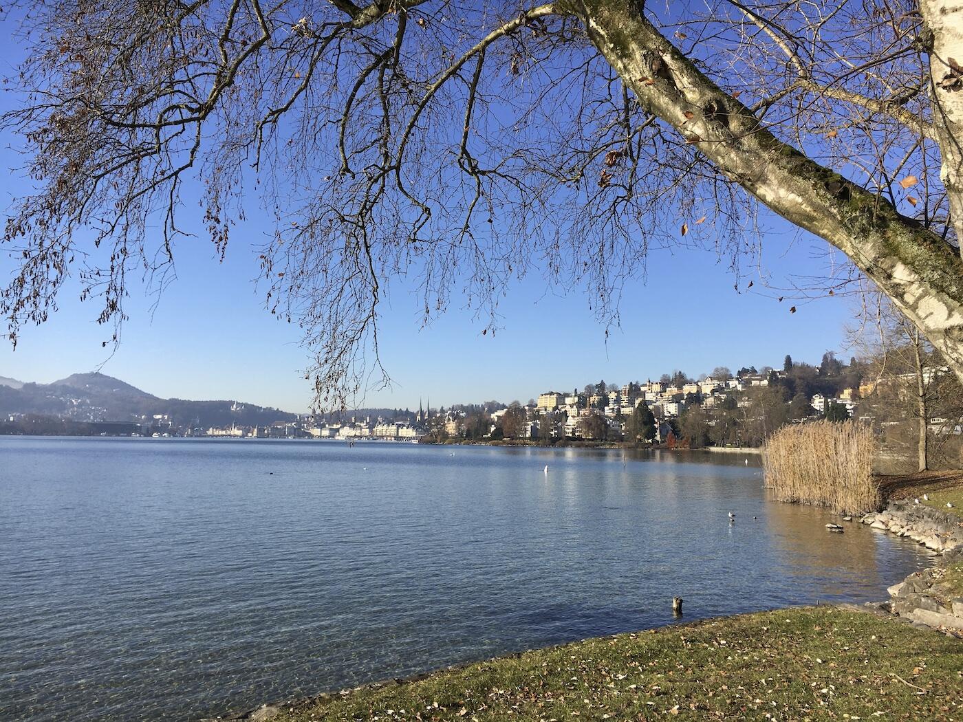 Bild ohne Beschreibung