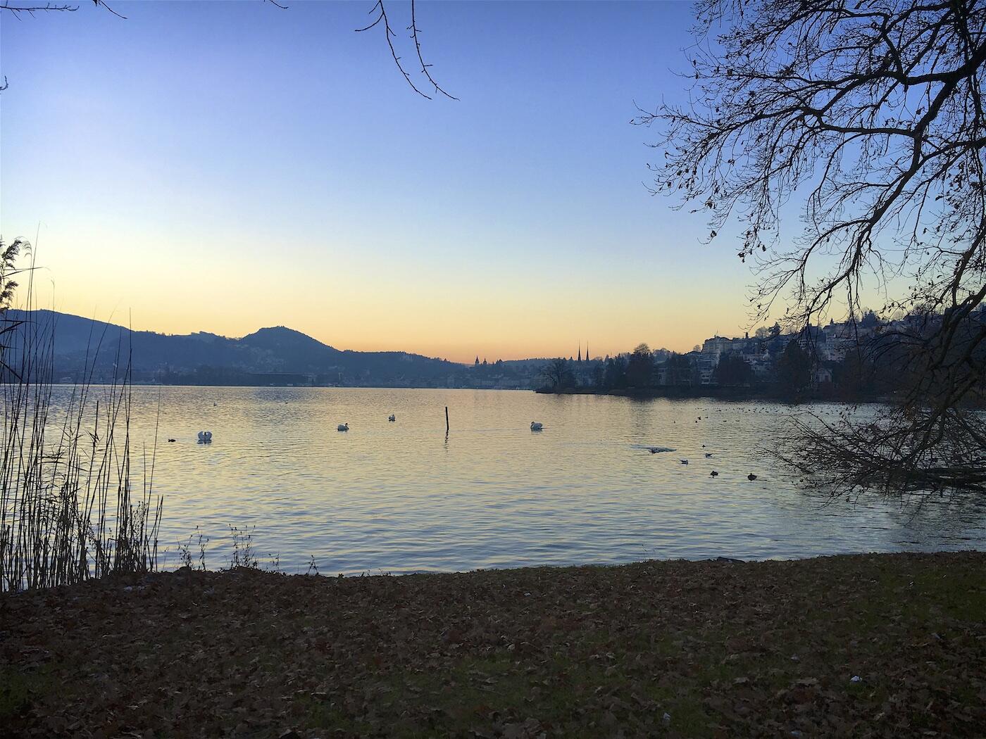 Bild ohne Beschreibung