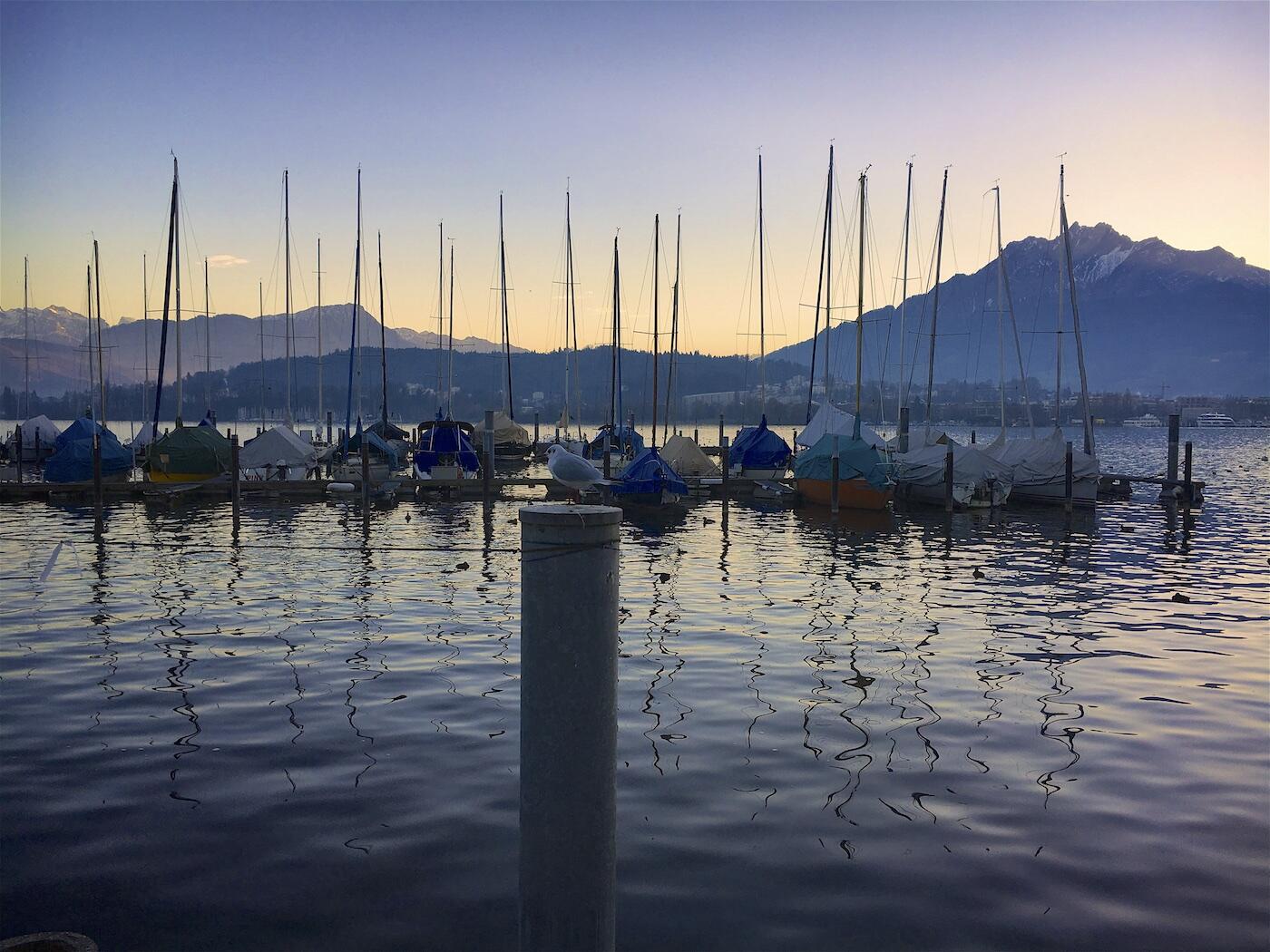 Bild ohne Beschreibung