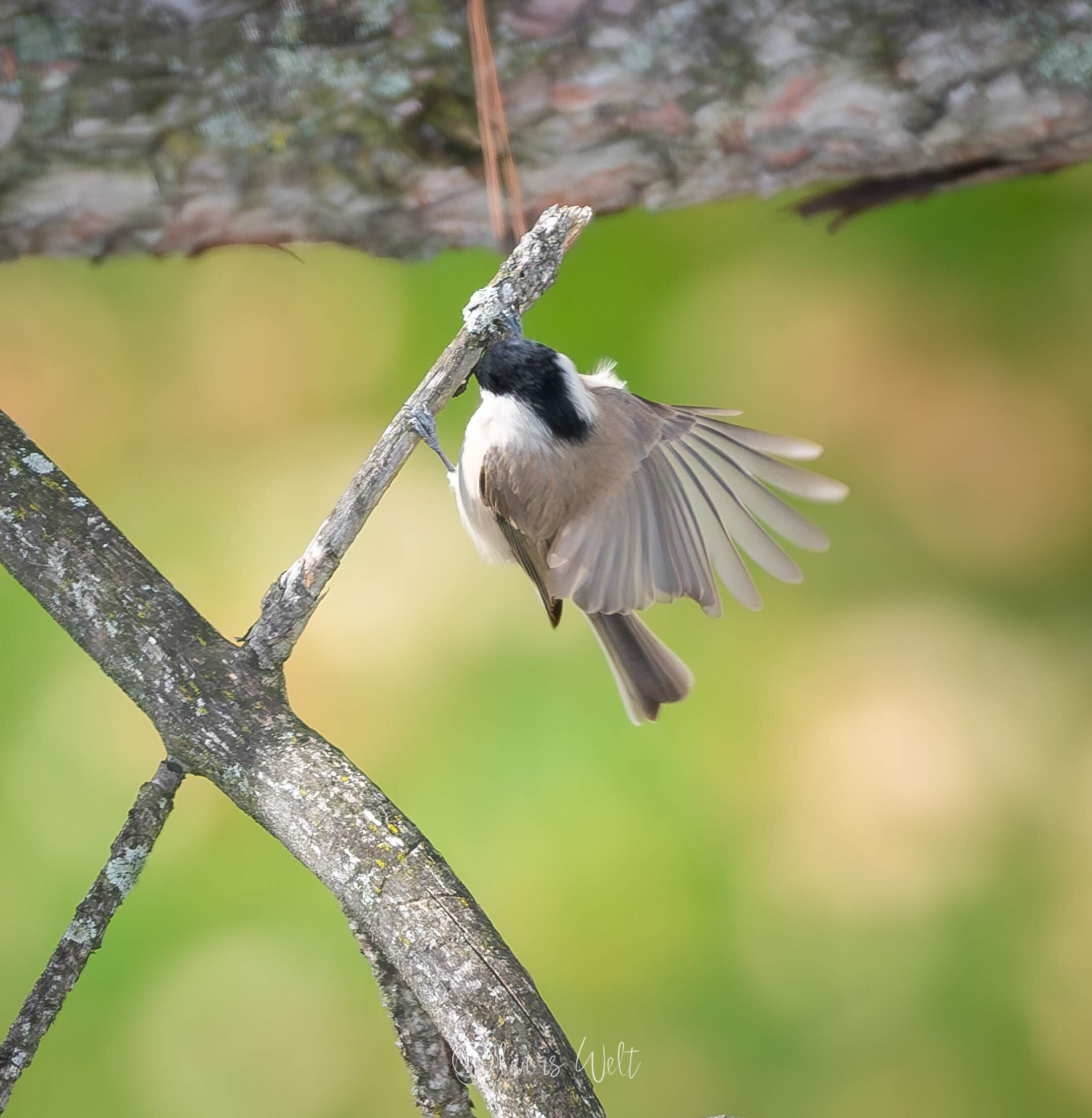 Bild ohne Beschreibung
