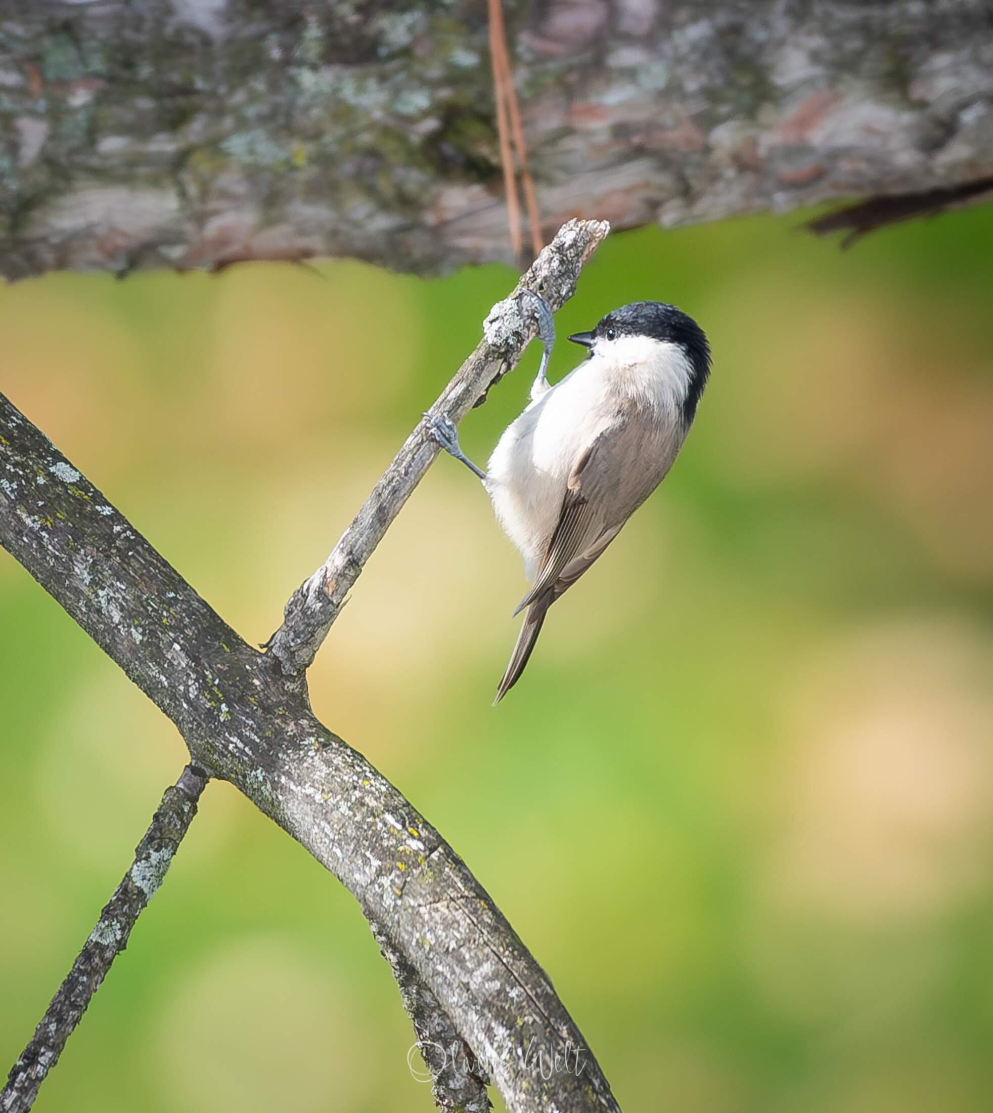 Bild ohne Beschreibung
