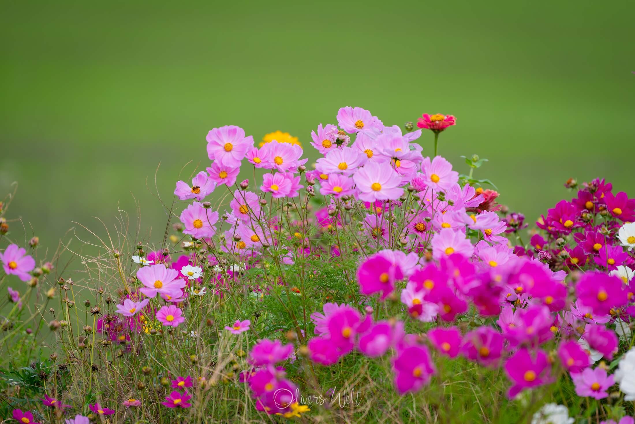 Bild ohne Beschreibung