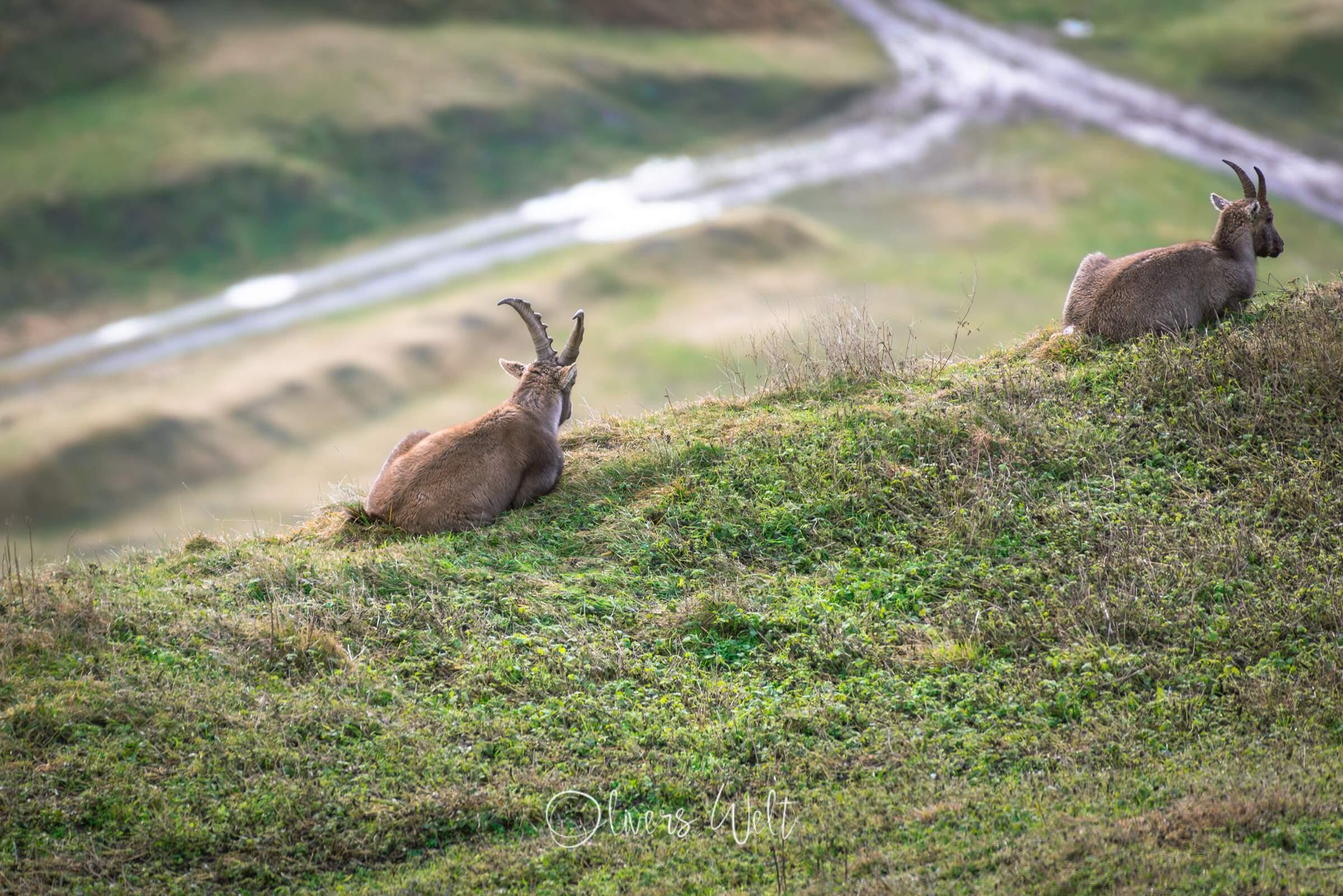 Bild ohne Beschreibung