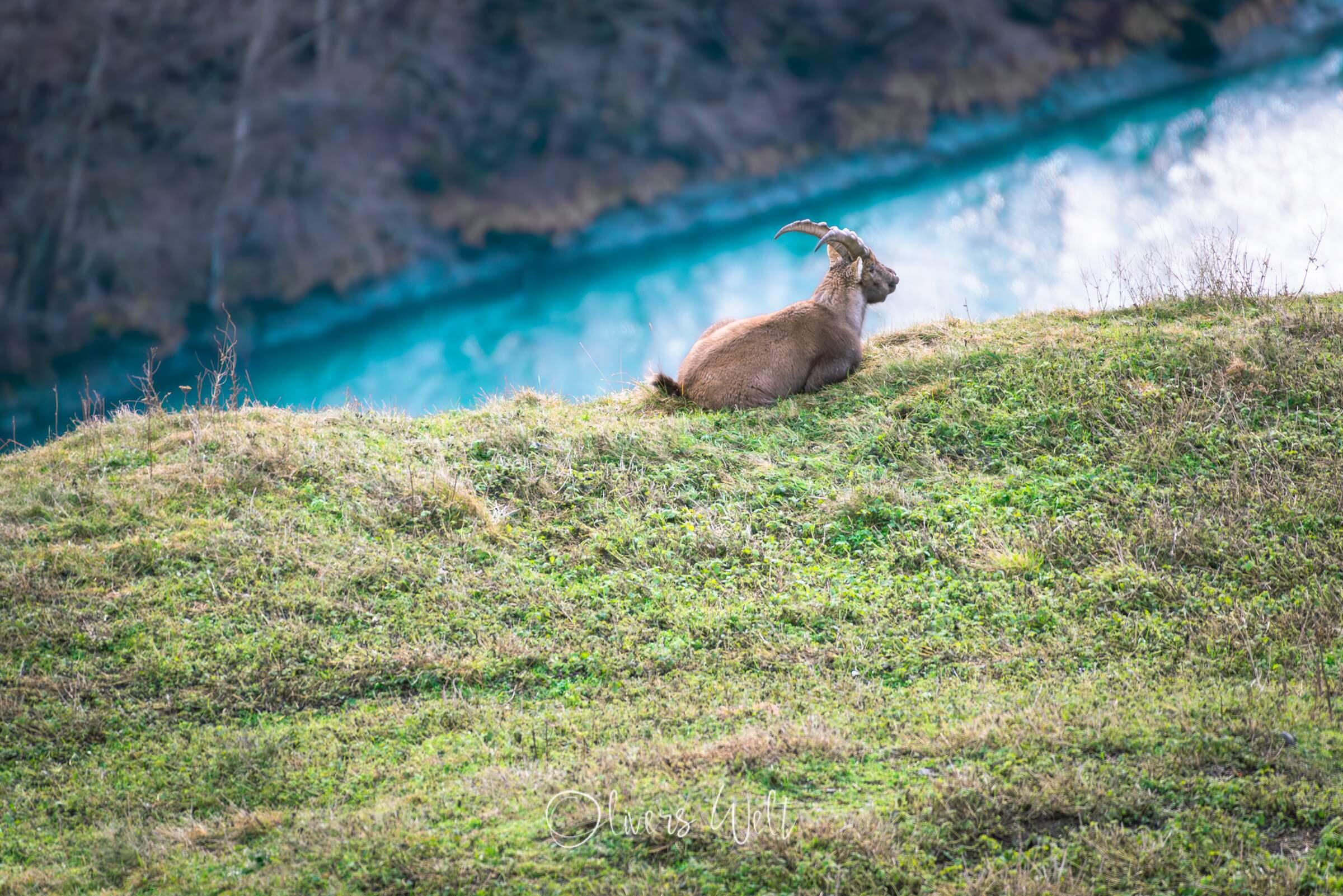 Bild ohne Beschreibung