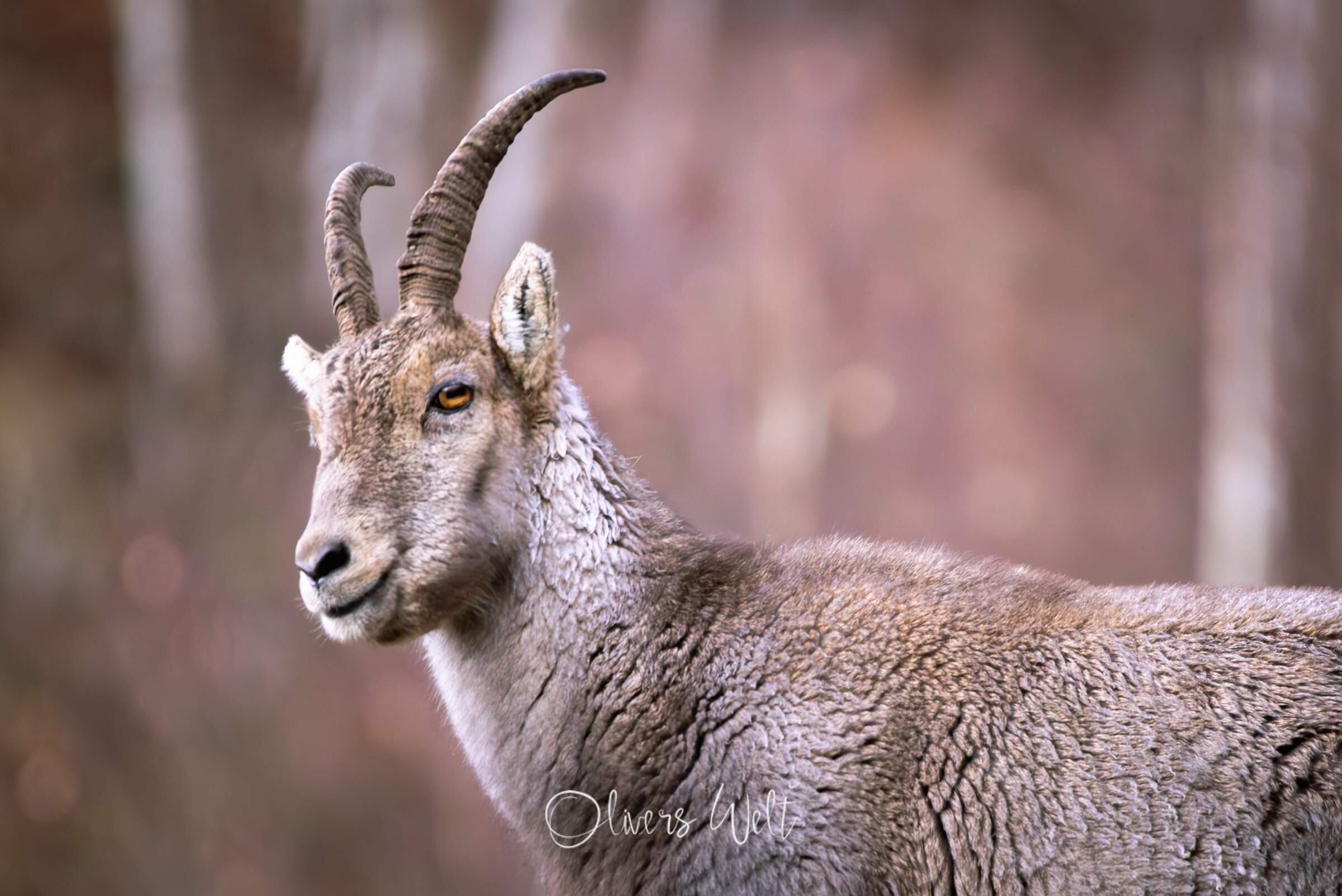 Bild ohne Beschreibung