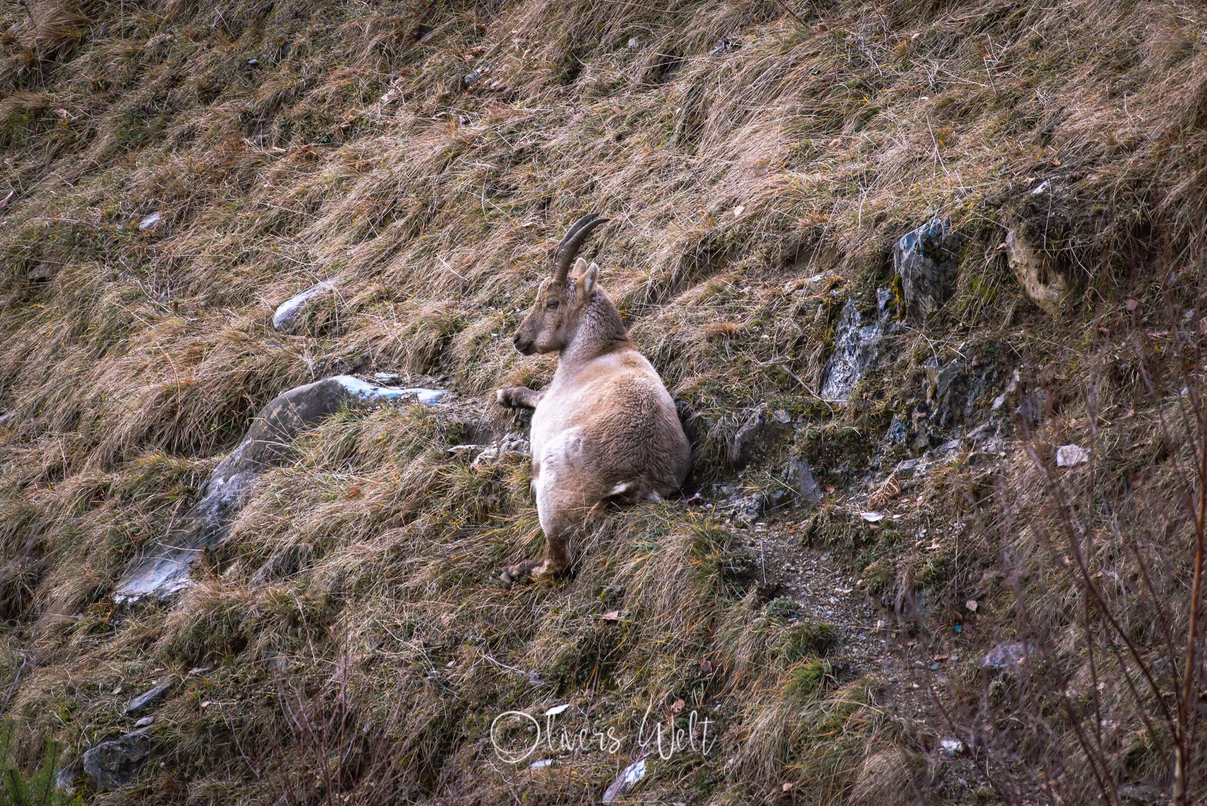 Bild ohne Beschreibung