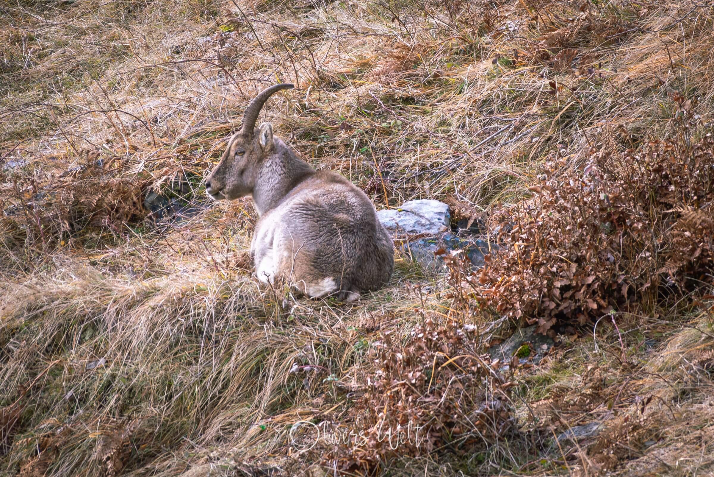Bild ohne Beschreibung