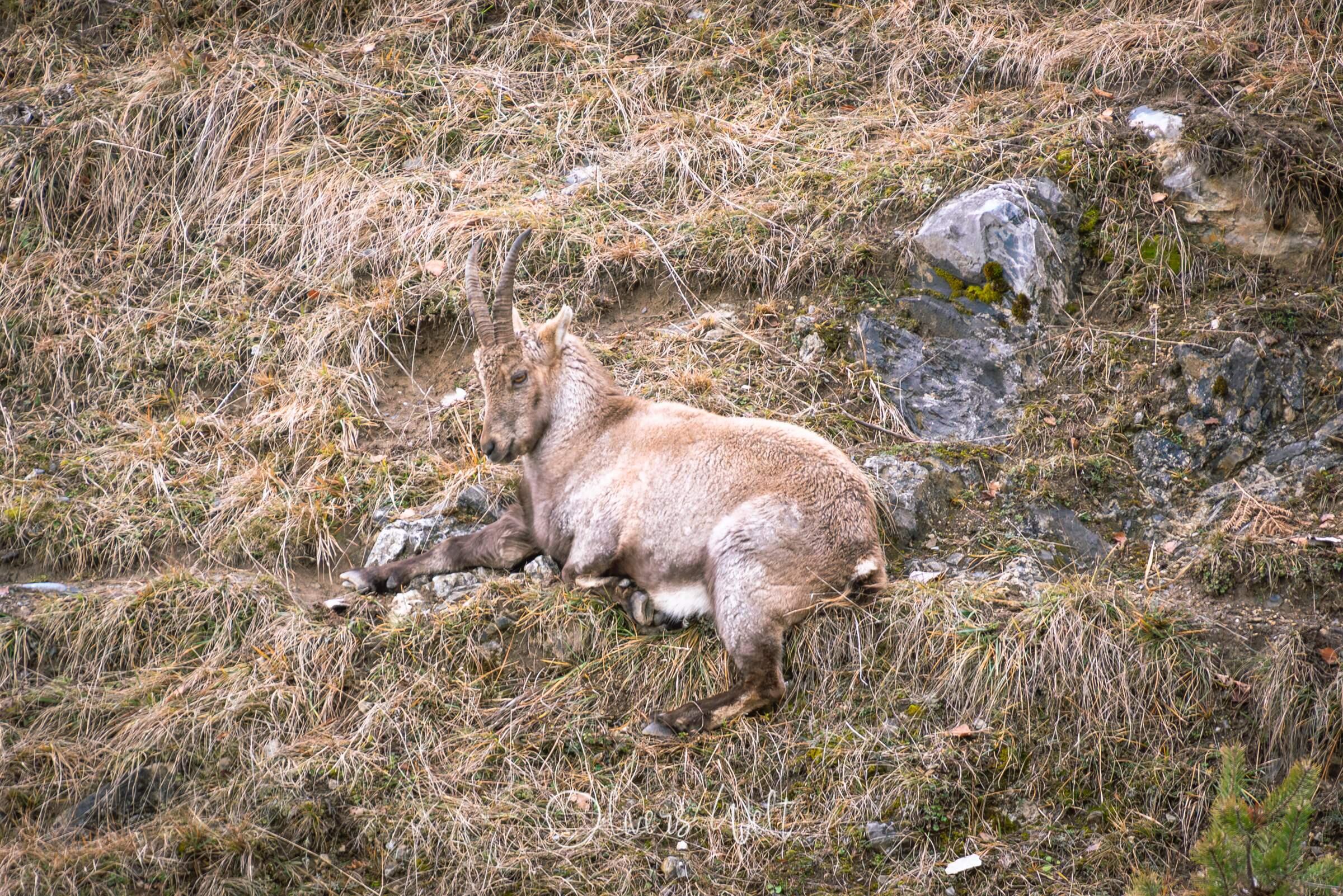 Bild ohne Beschreibung