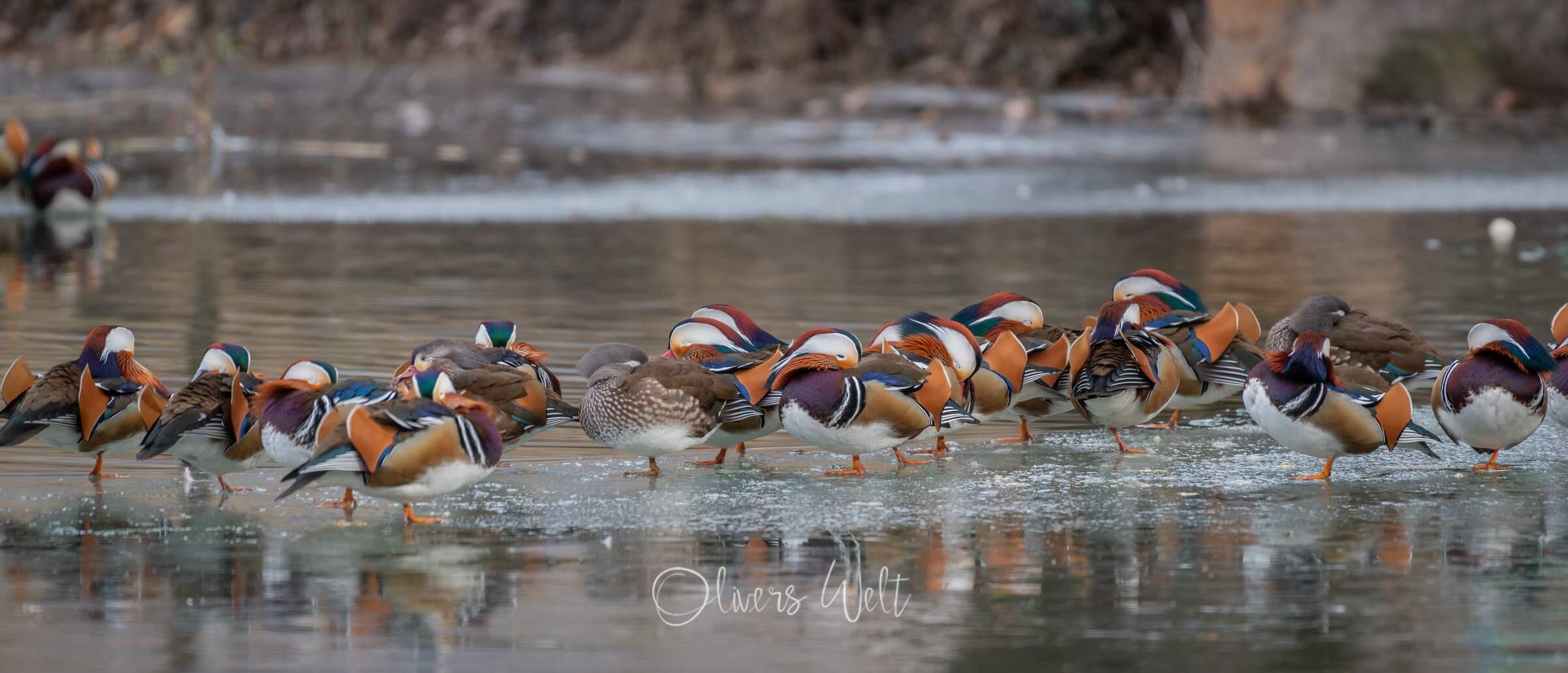 Bild ohne Beschreibung Bild ohne Beschreibung