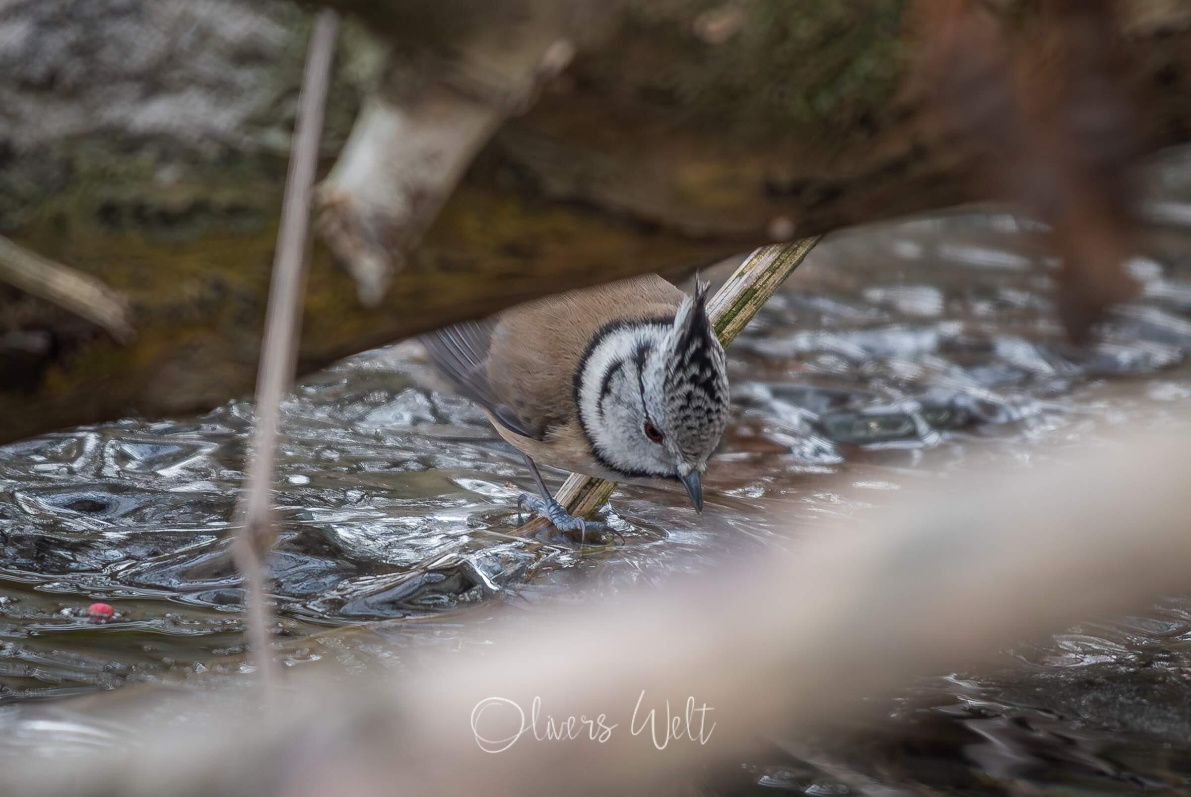 Bild ohne Beschreibung Bild ohne Beschreibung