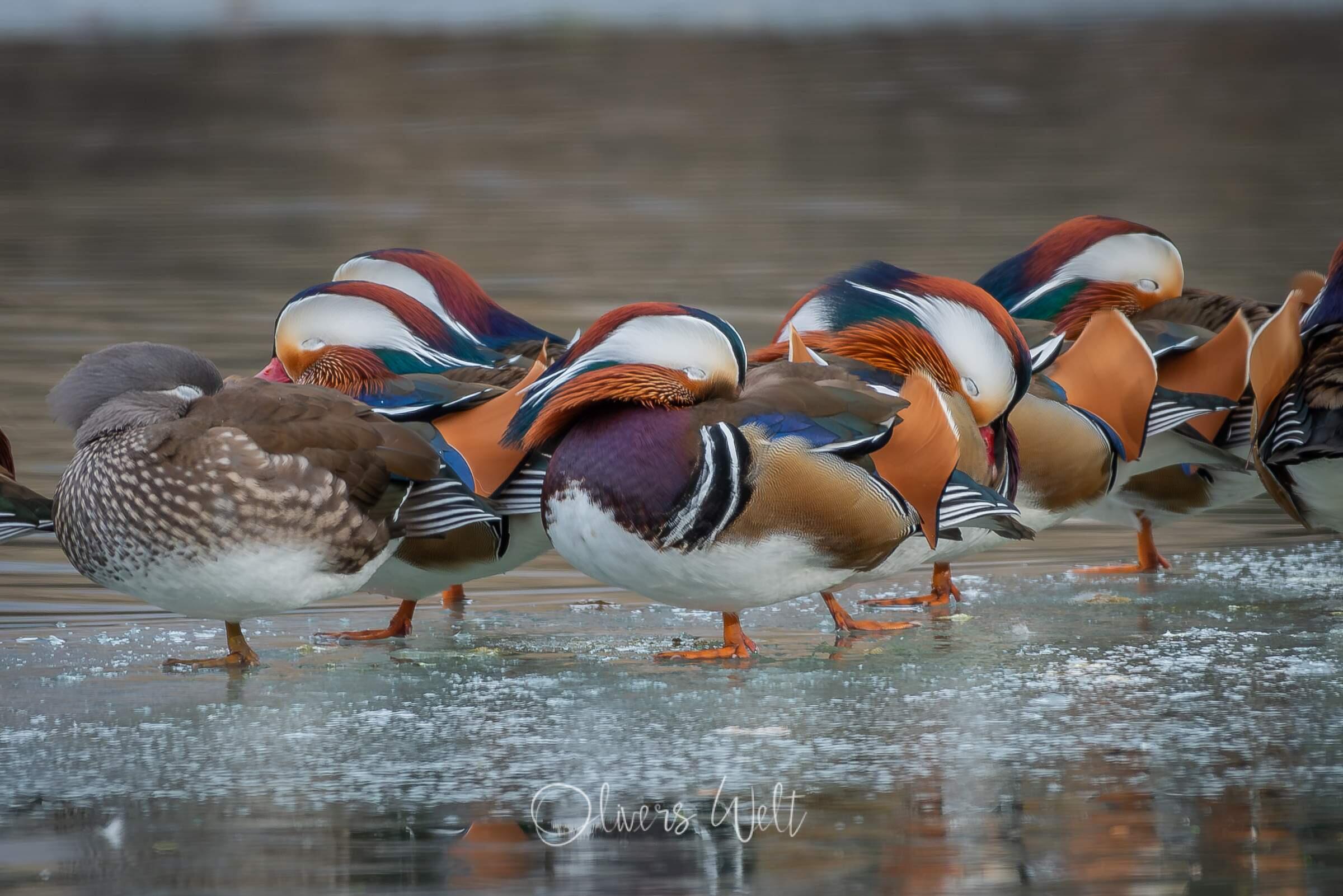 Bild ohne Beschreibung Bild ohne Beschreibung
