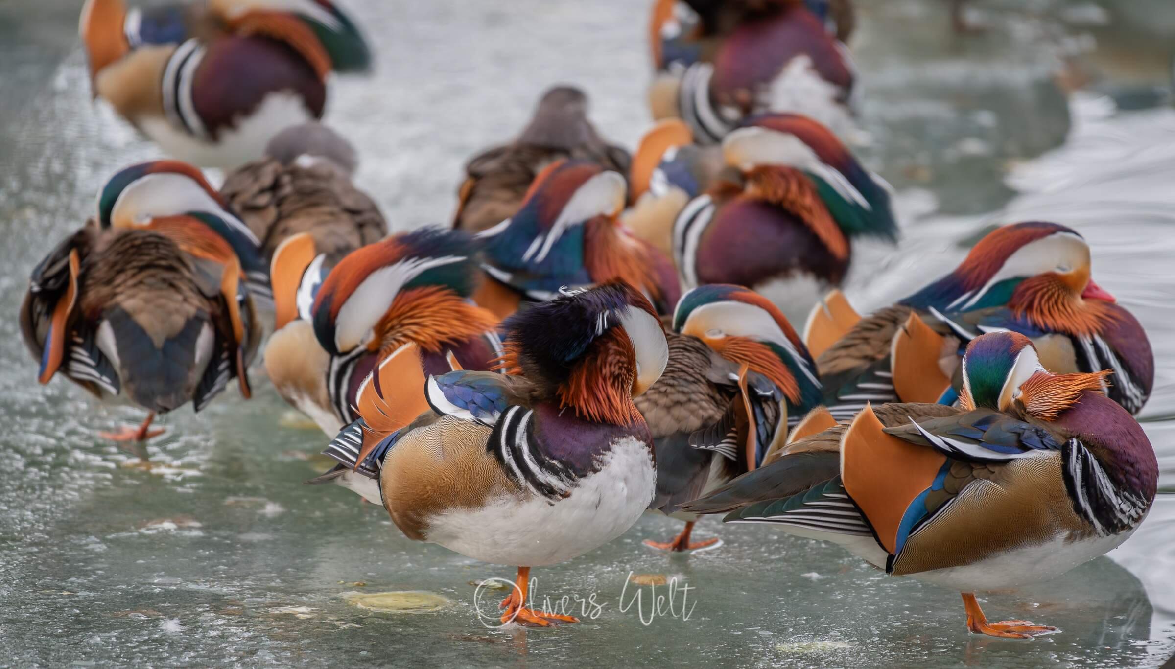 Bild ohne Beschreibung Bild ohne Beschreibung