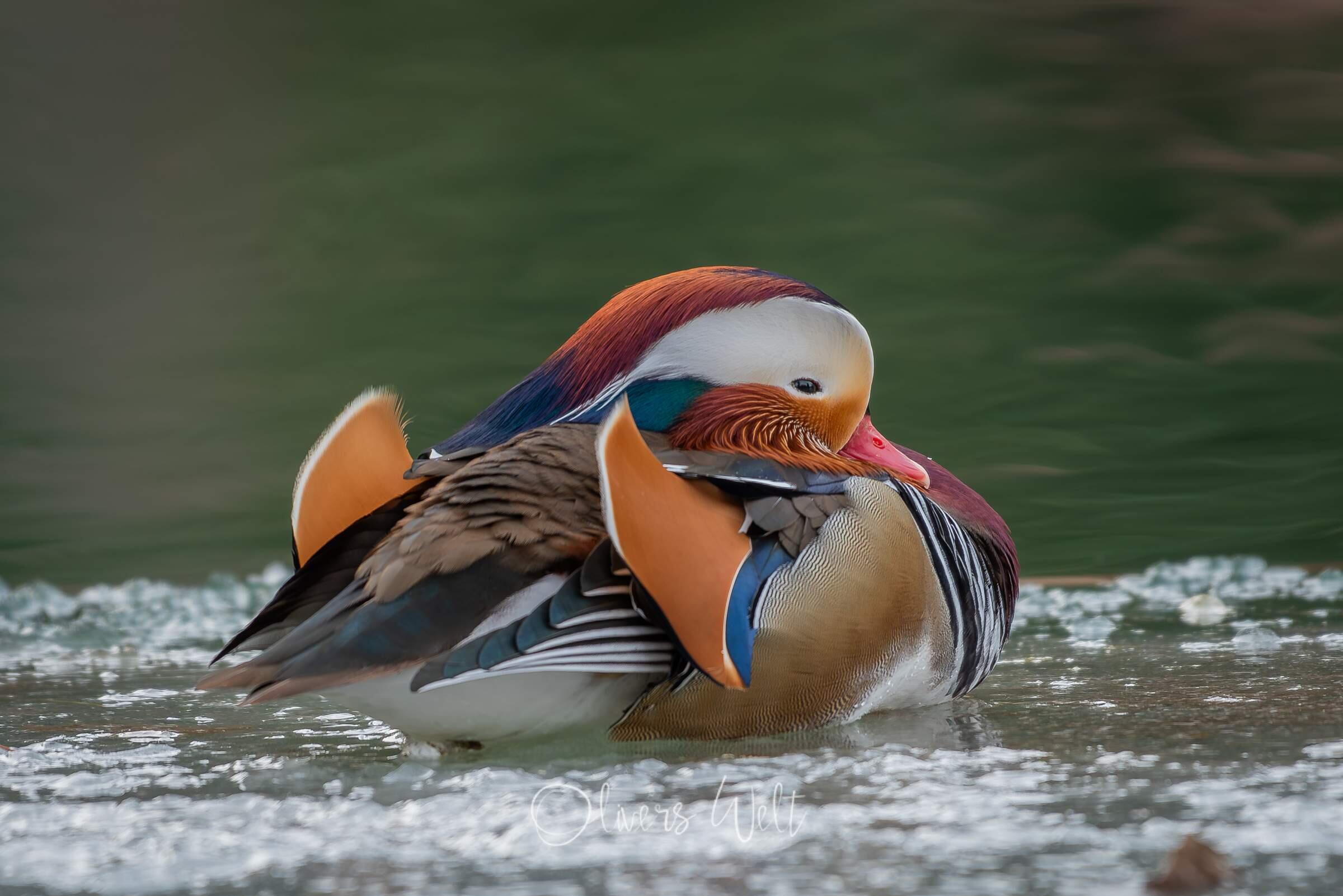 Bild ohne Beschreibung Bild ohne Beschreibung