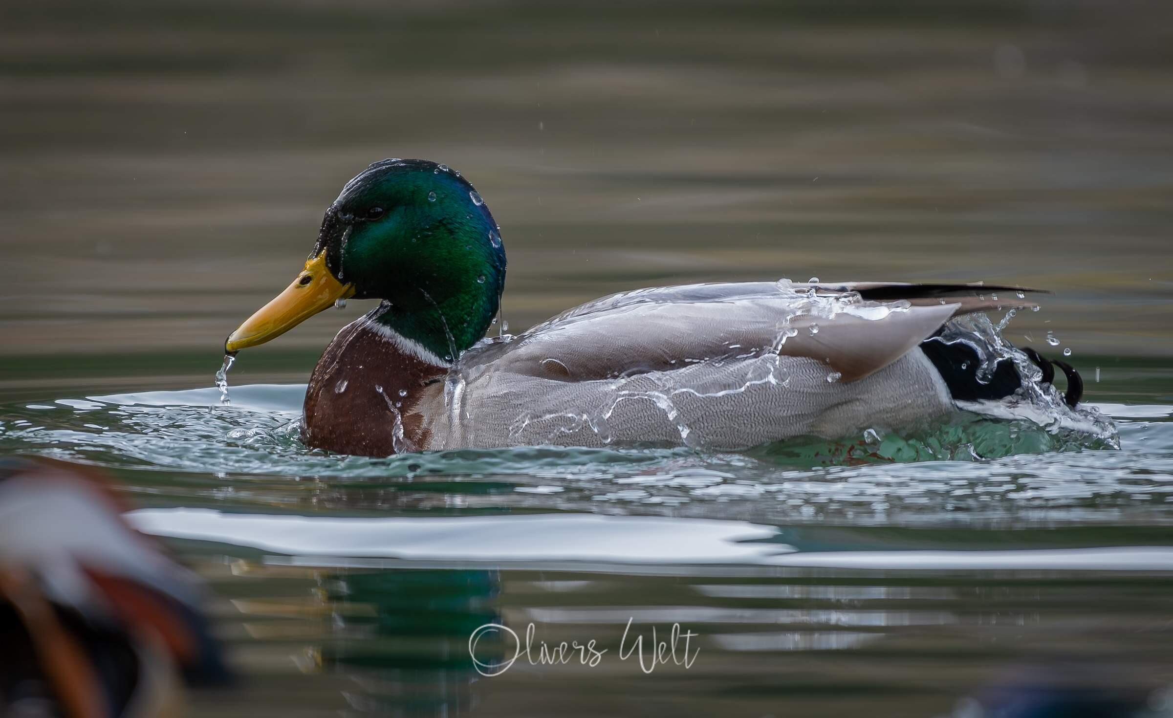 Bild ohne Beschreibung Bild ohne Beschreibung