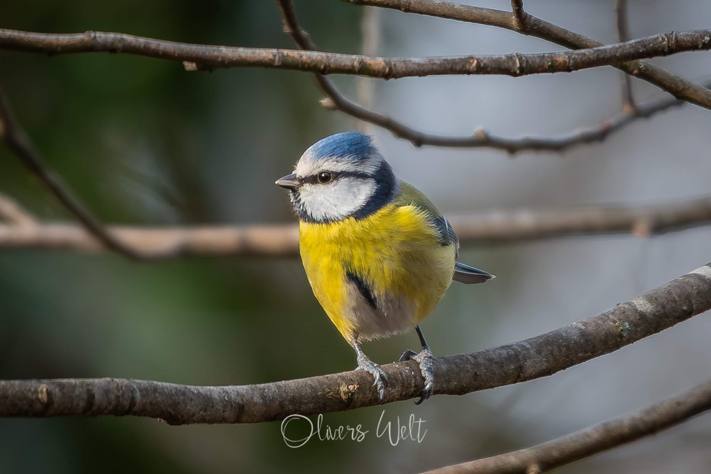 Bild ohne Beschreibung Bild ohne Beschreibung