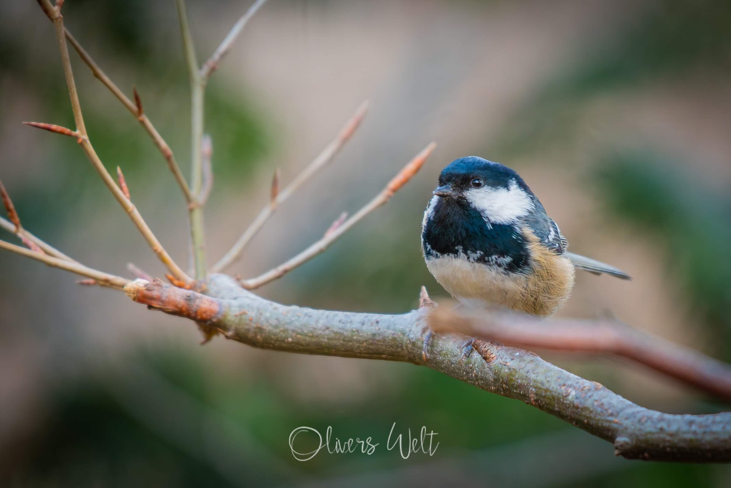 Bild ohne Beschreibung Bild ohne Beschreibung