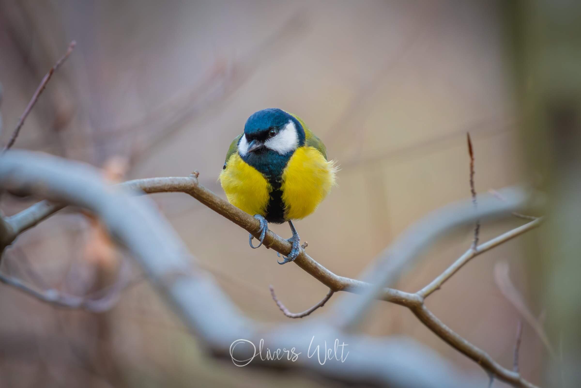 Bild ohne Beschreibung Bild ohne Beschreibung