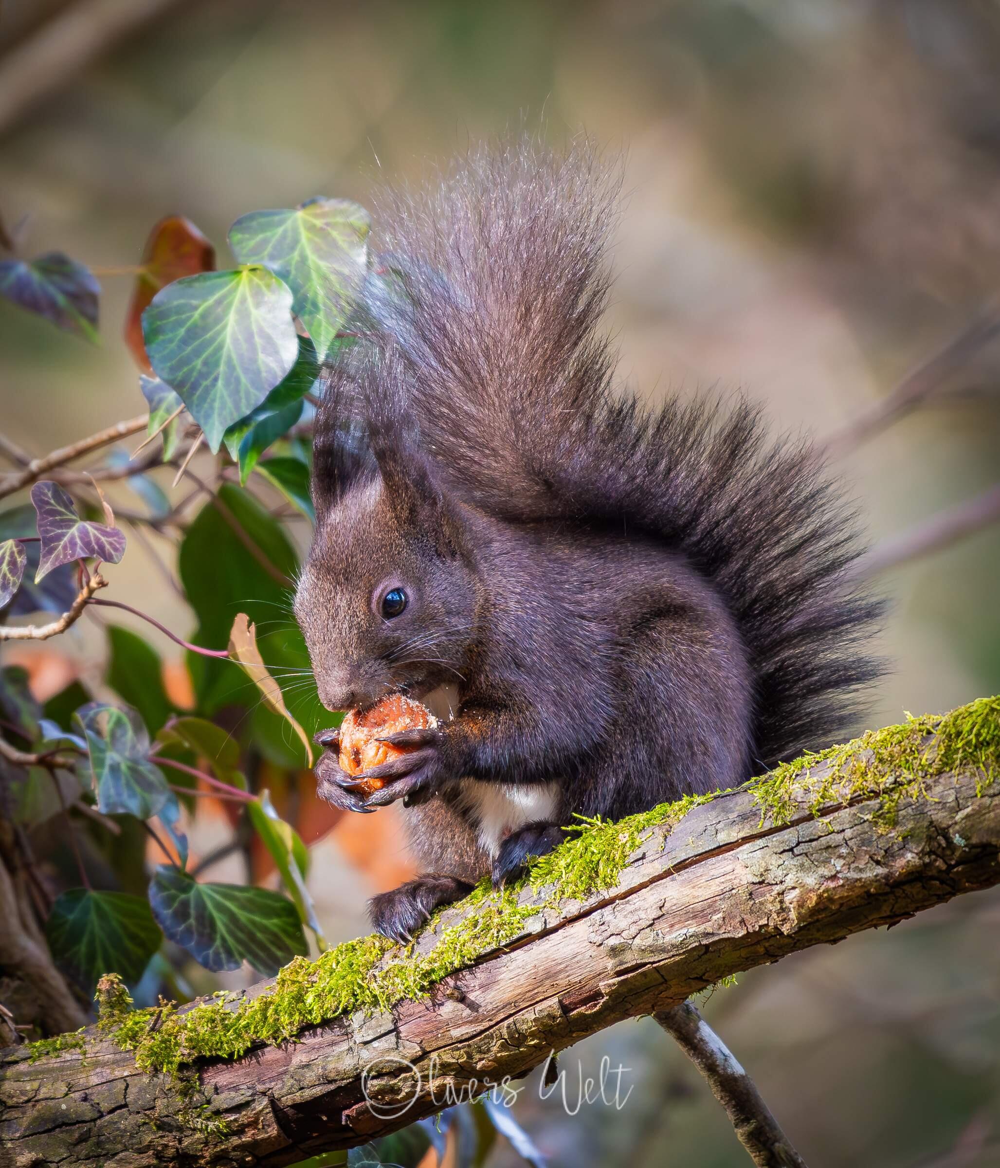 Bild ohne Beschreibung Bild ohne Beschreibung