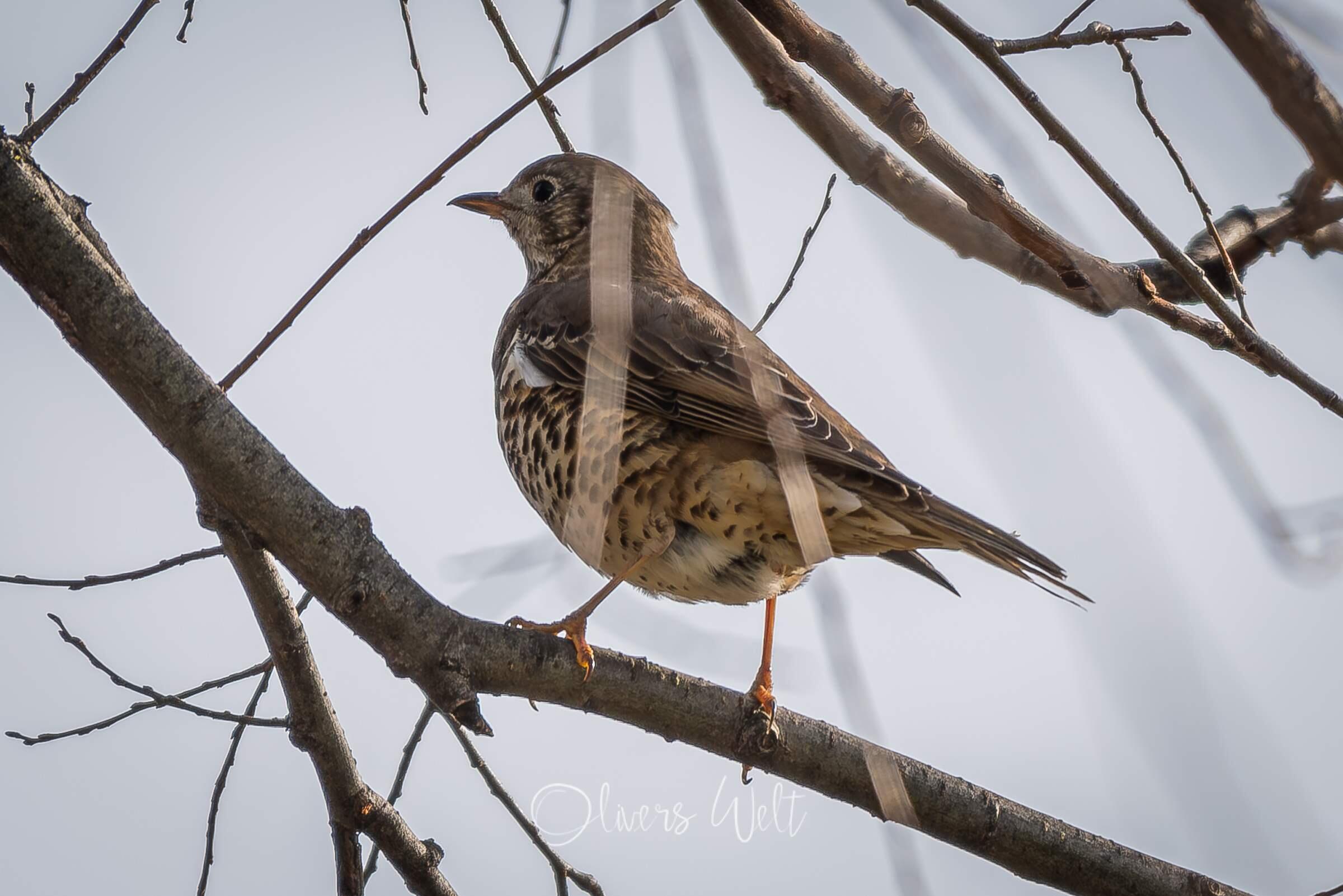 Bild ohne Beschreibung Bild ohne Beschreibung