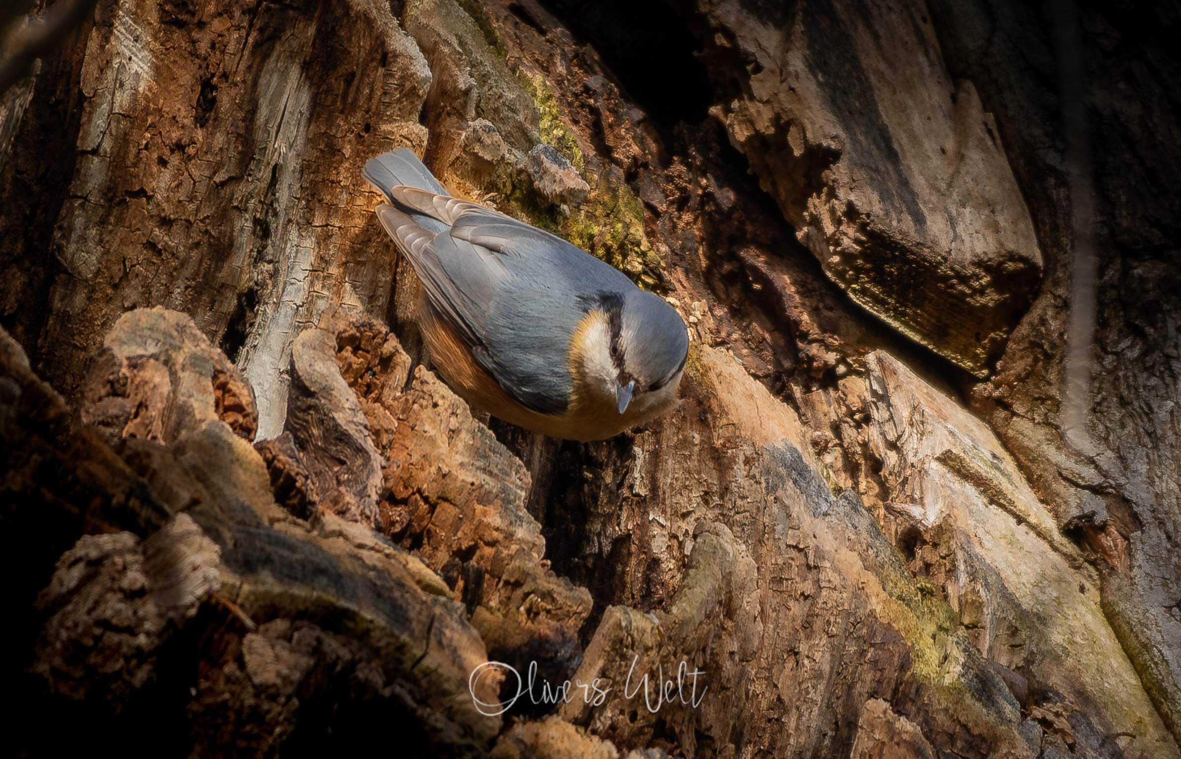 Bild ohne Beschreibung Bild ohne Beschreibung