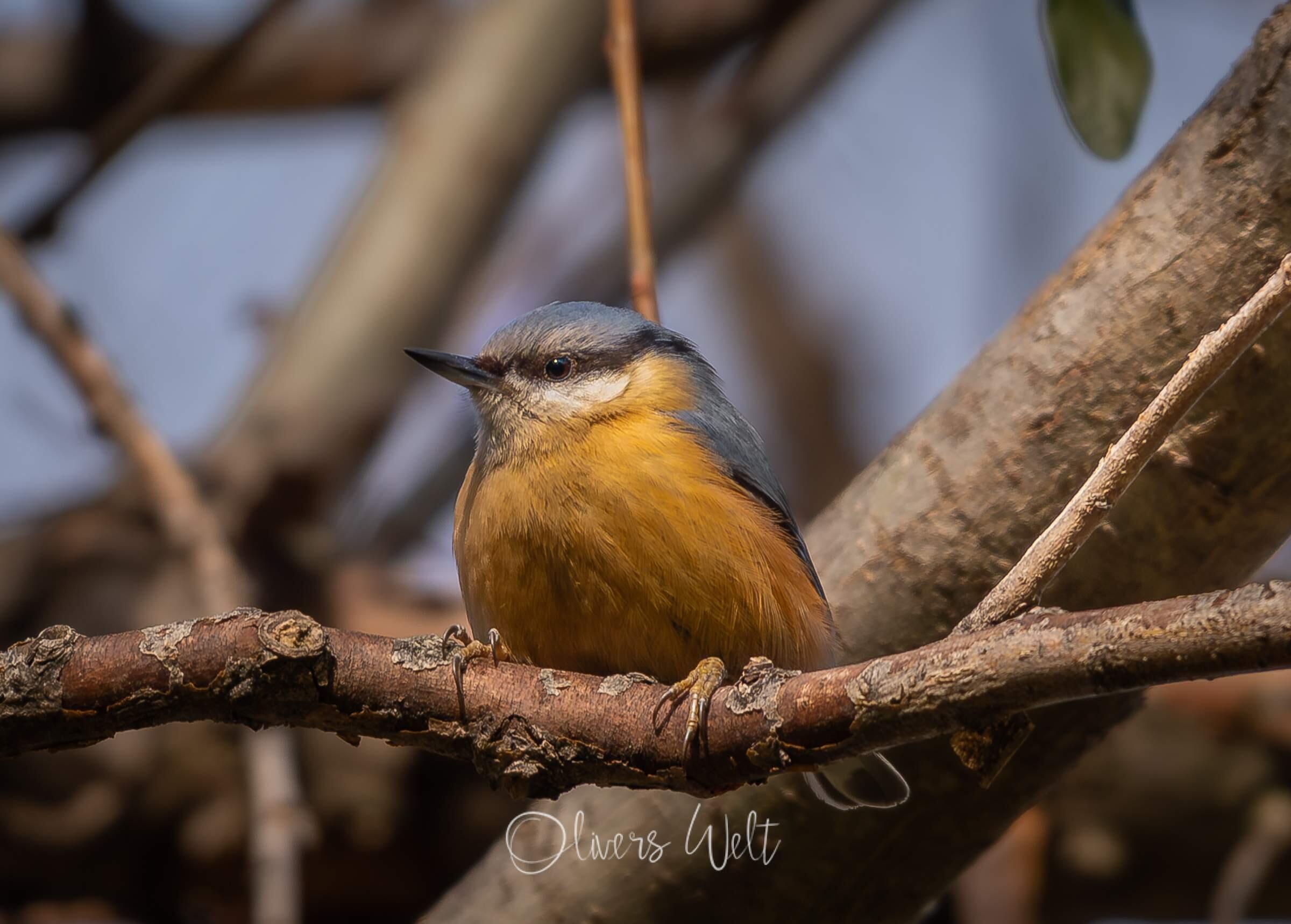 Bild ohne Beschreibung Bild ohne Beschreibung