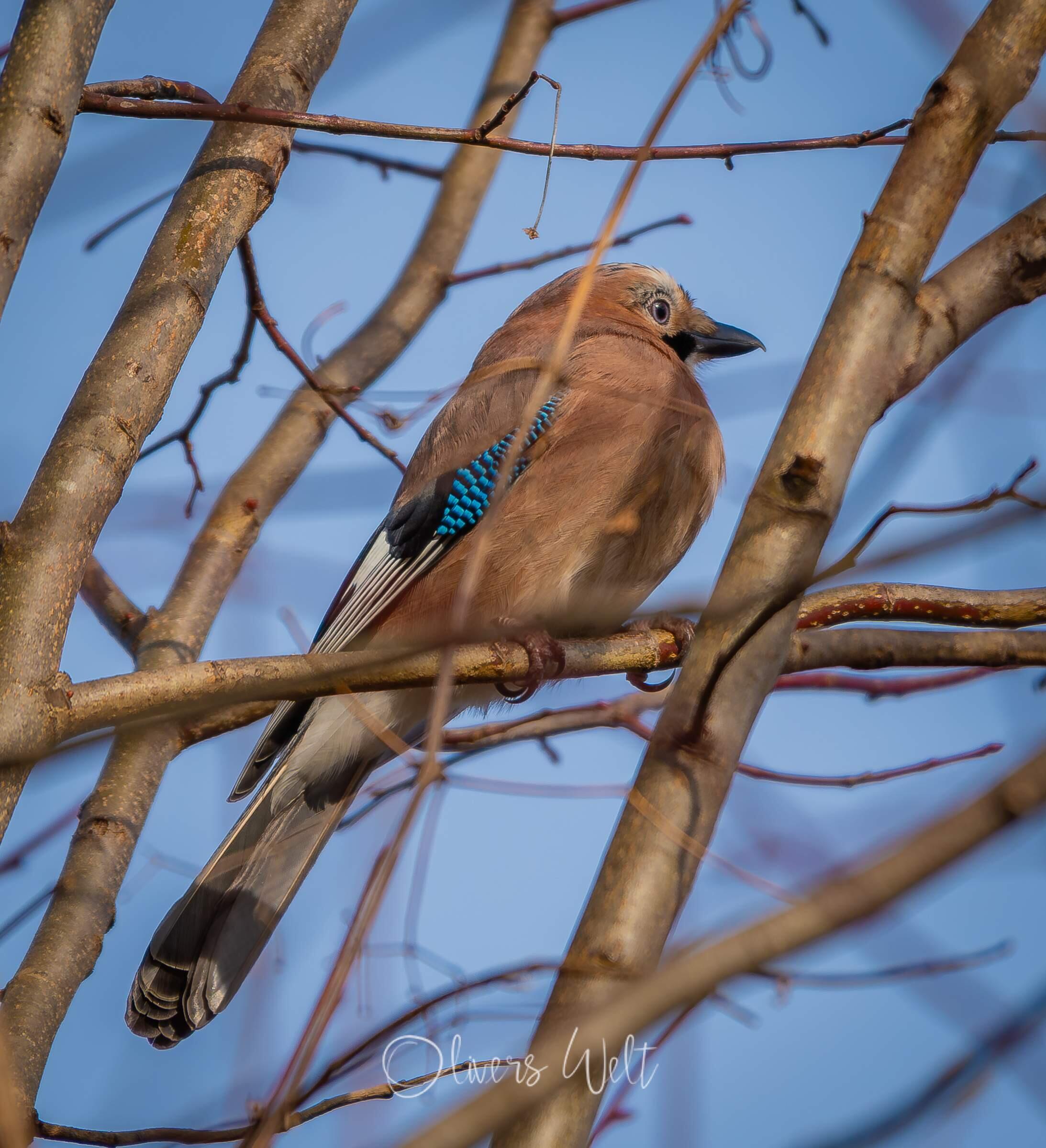 Bild ohne Beschreibung Bild ohne Beschreibung