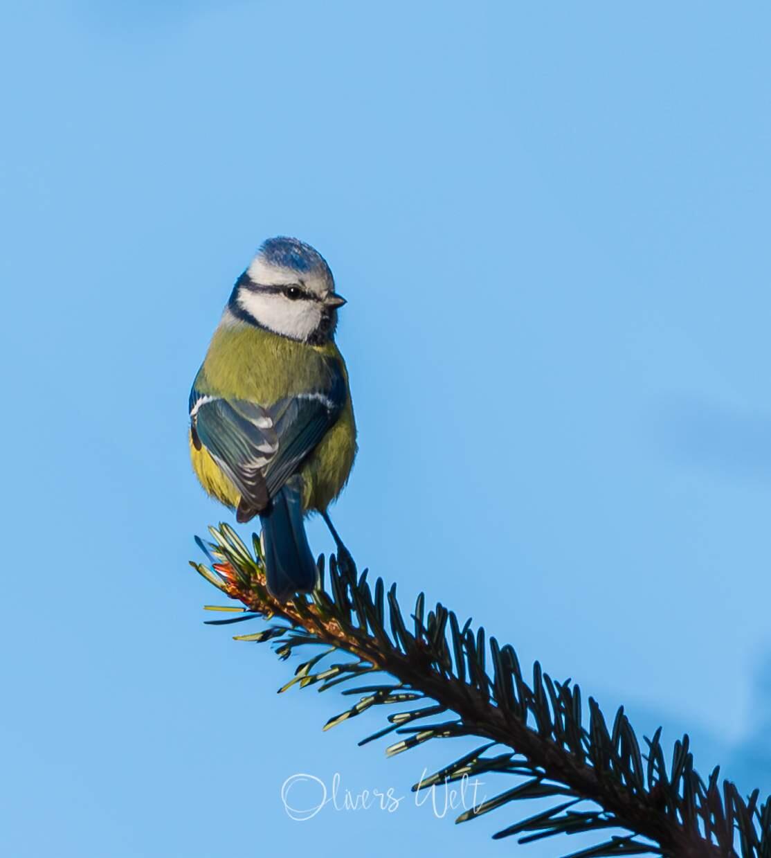 Bild ohne Beschreibung