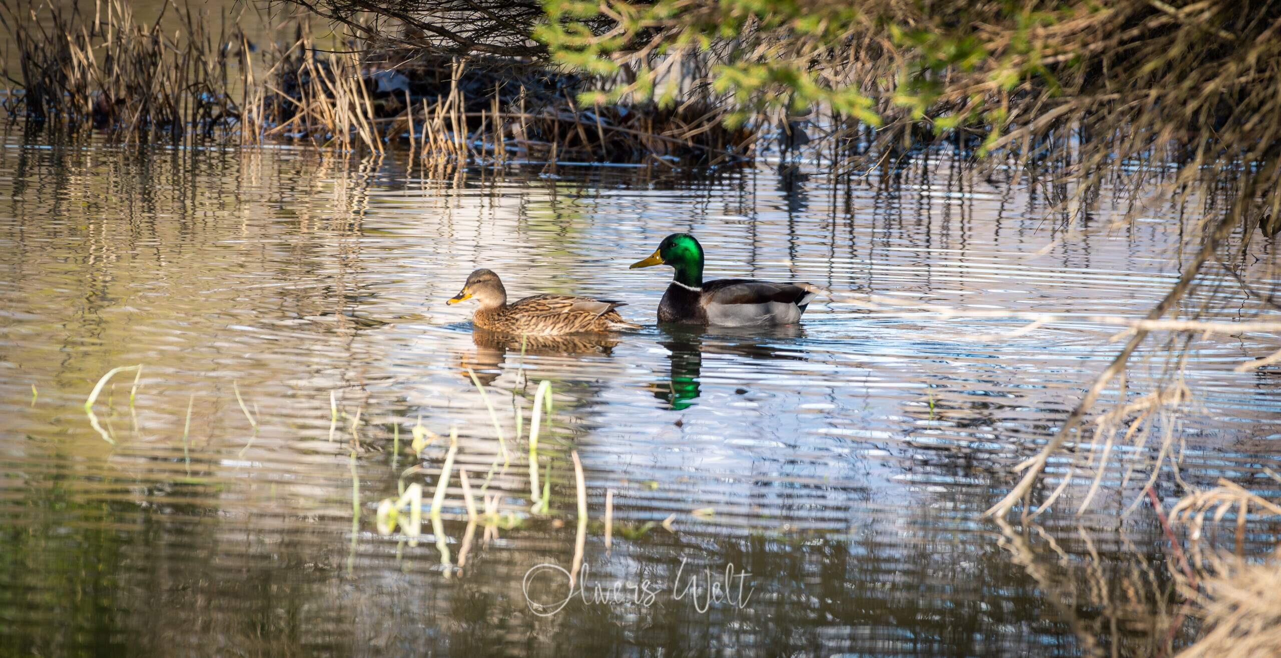 Bild ohne Beschreibung