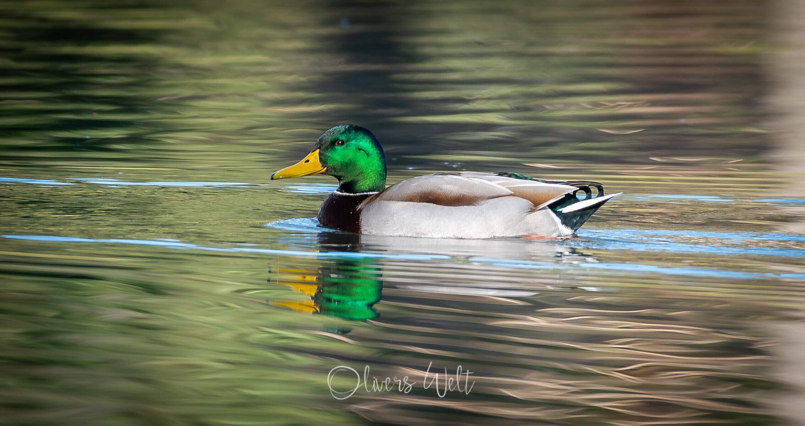 Bild ohne Beschreibung