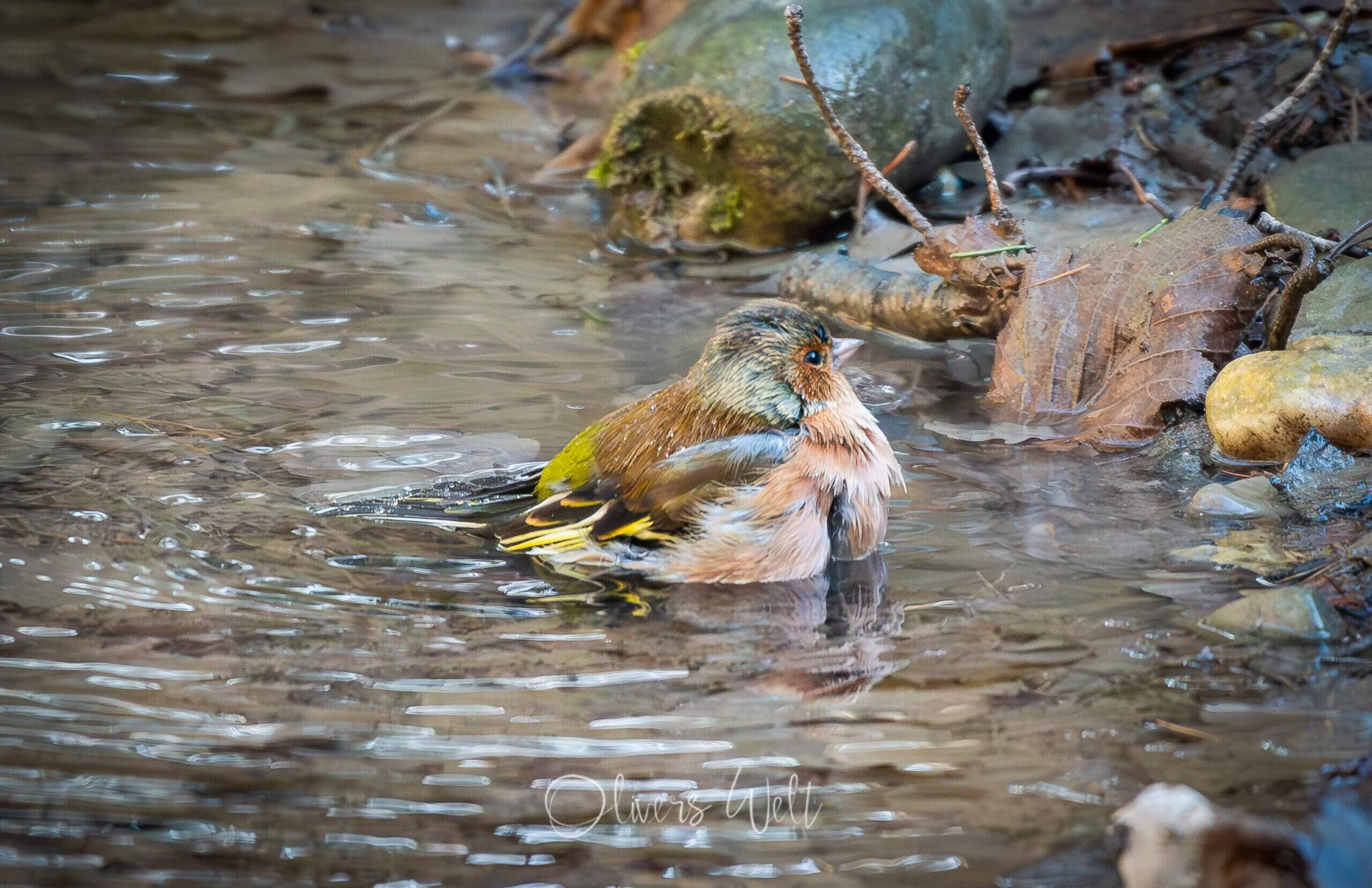 Bild ohne Beschreibung