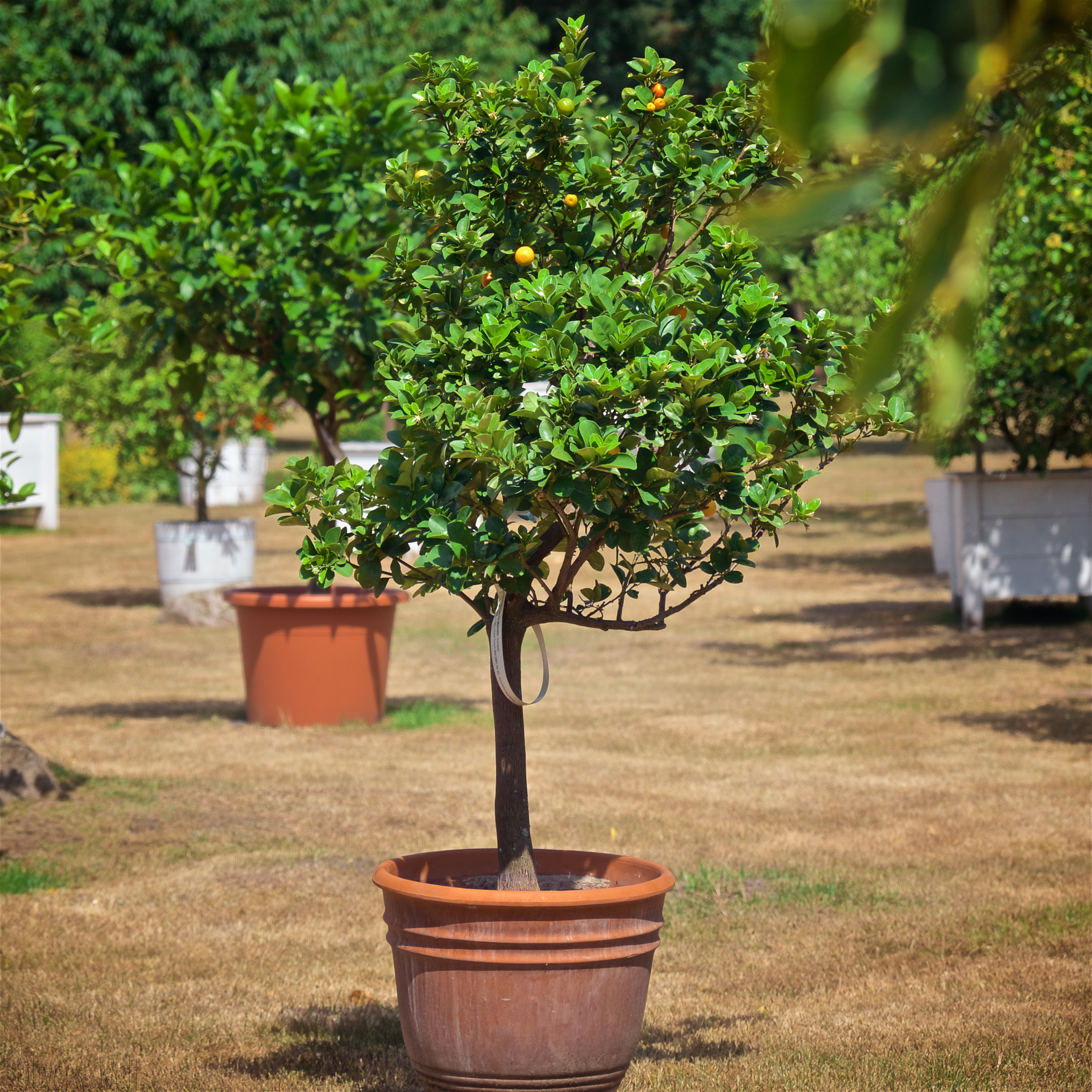 Bild ohne Beschreibung Bild ohne Beschreibung