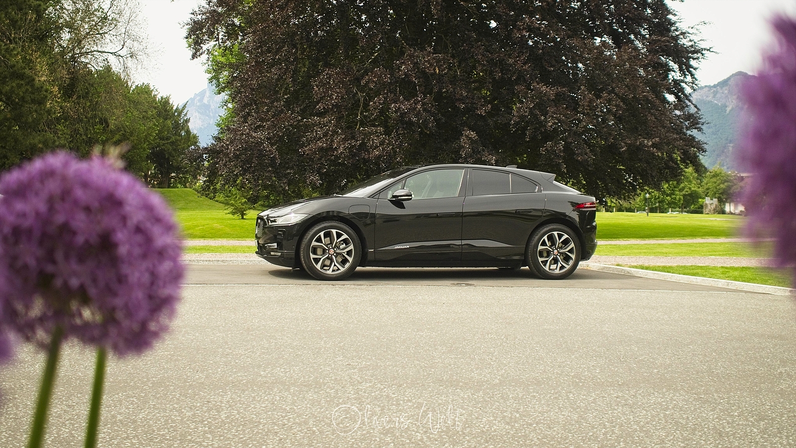 Bild ohne Beschreibung Bild ohne Beschreibung