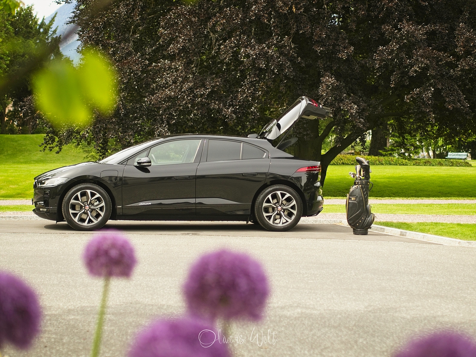 Bild ohne Beschreibung Bild ohne Beschreibung