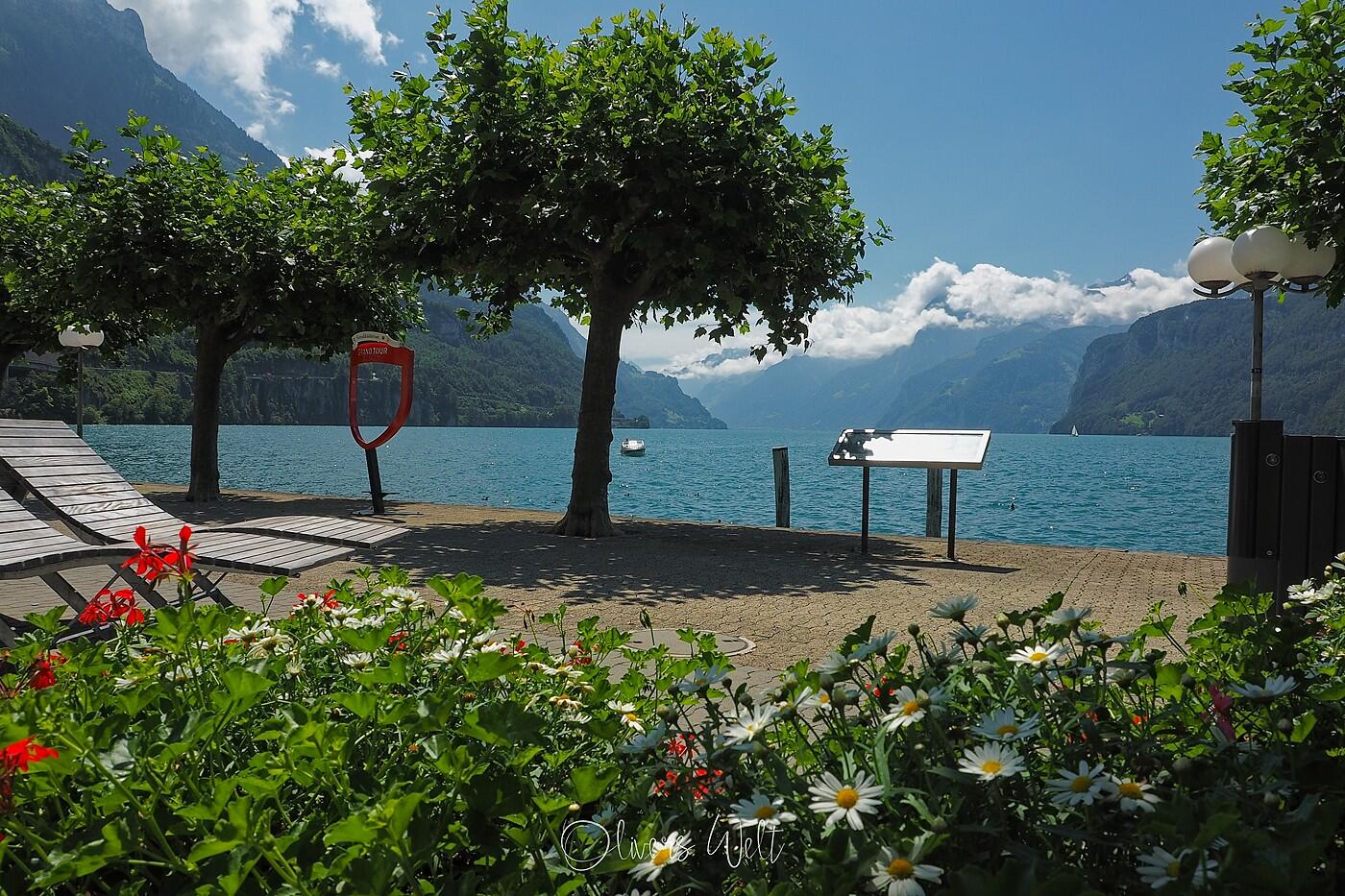 Bild ohne Beschreibung